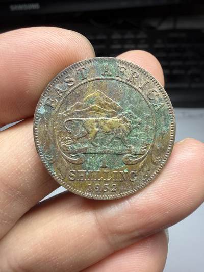 2025年集古藏今外币拍卖第十期-第2场—（总第282拍），可以寄存60天，满160元包邮。 - 1952年英属东非1先令