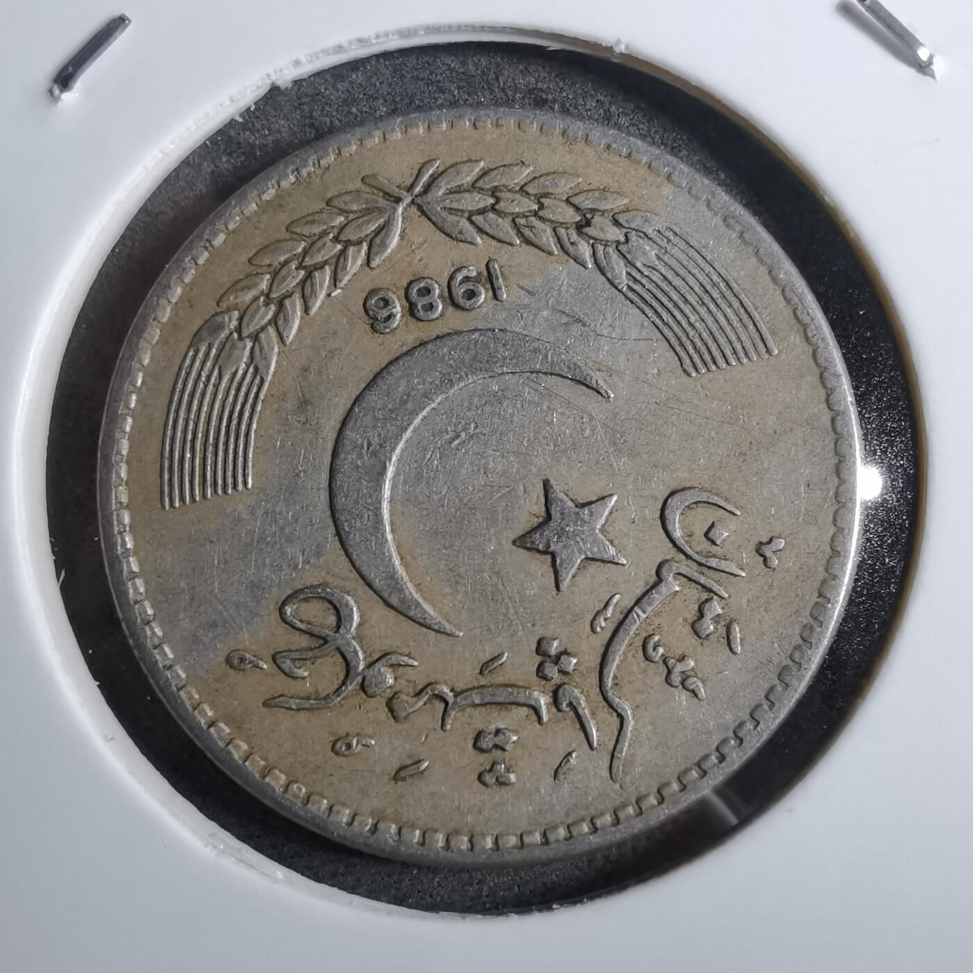 沼泽如烟--第892场