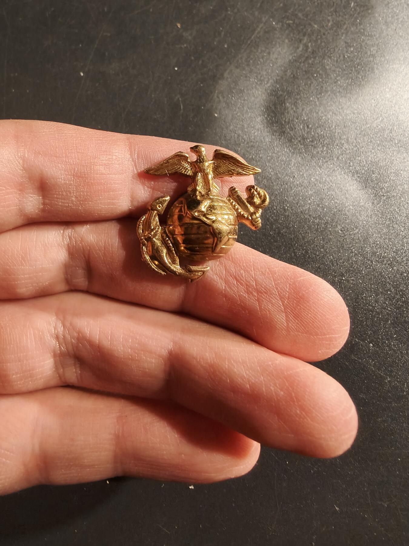 老王徽章第161期