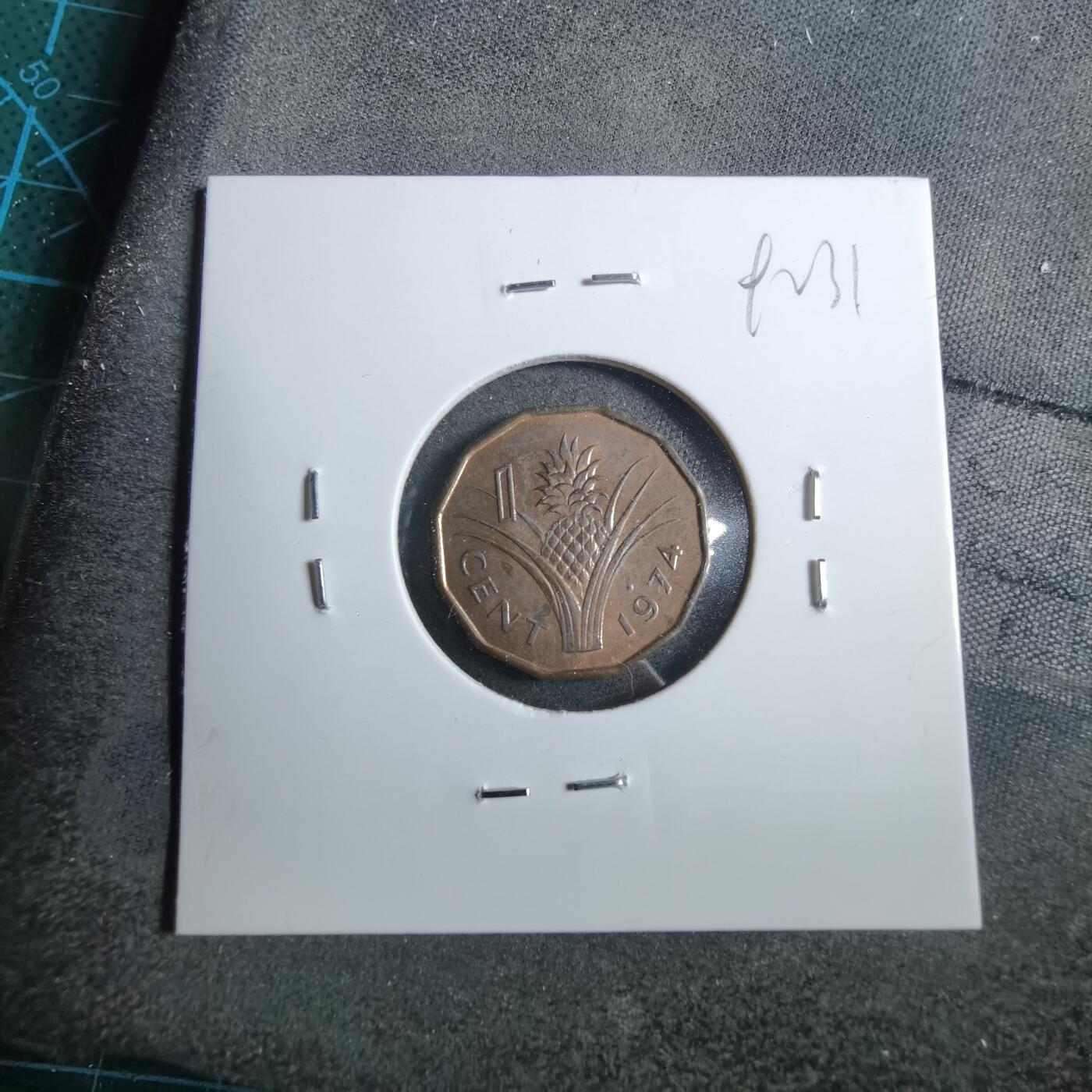 沼泽如烟--第892场