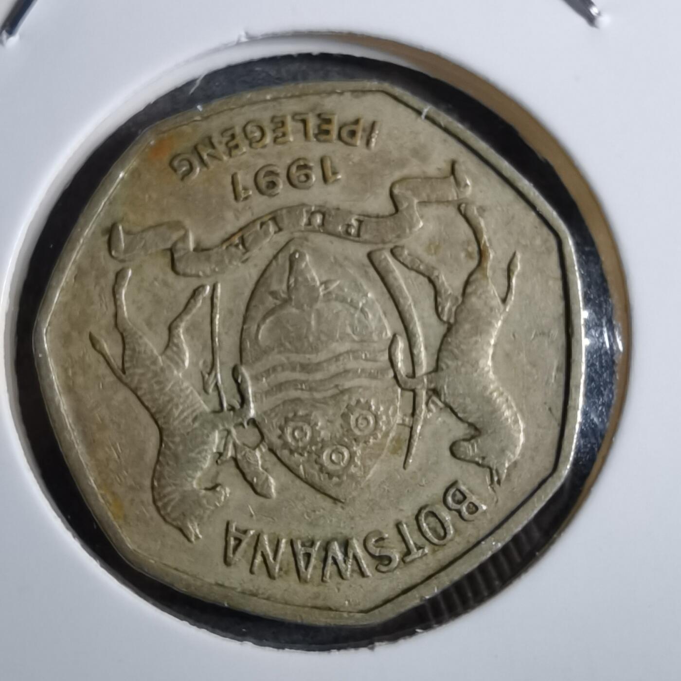 沼泽如烟--第892场