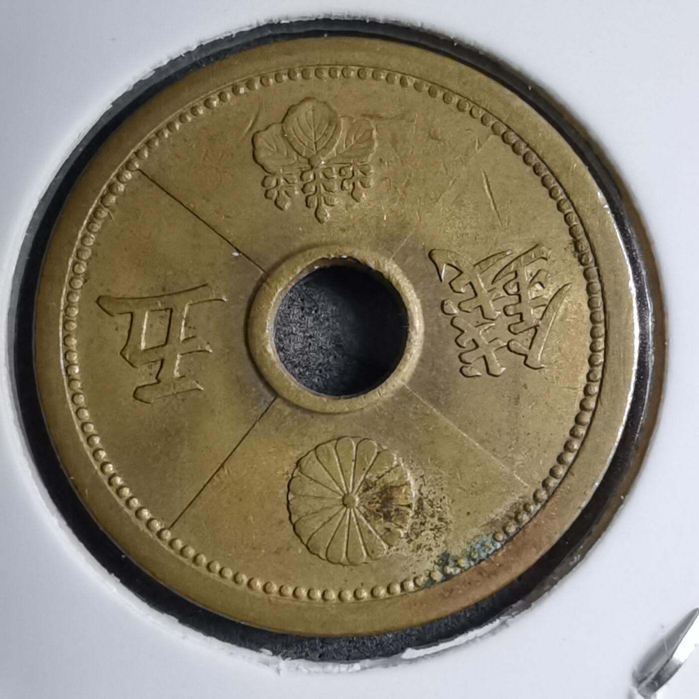 沼泽如烟--第891场