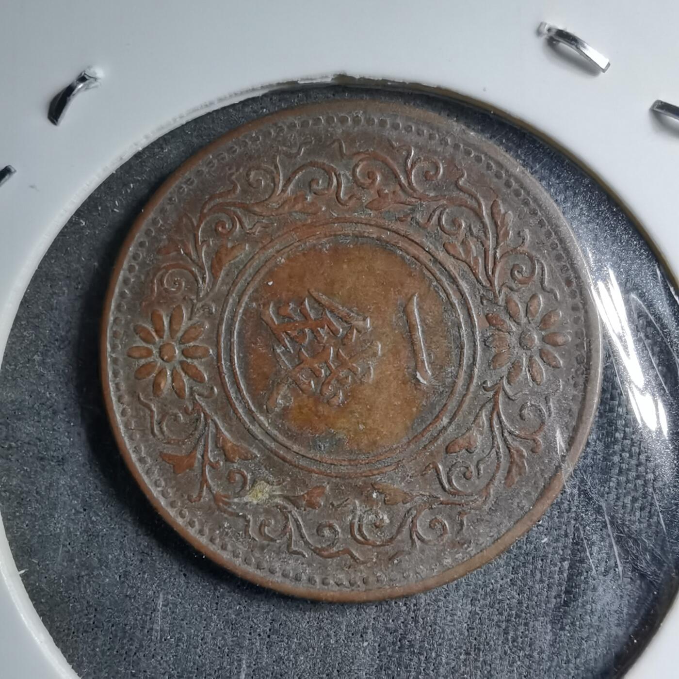 沼泽如烟--第891场