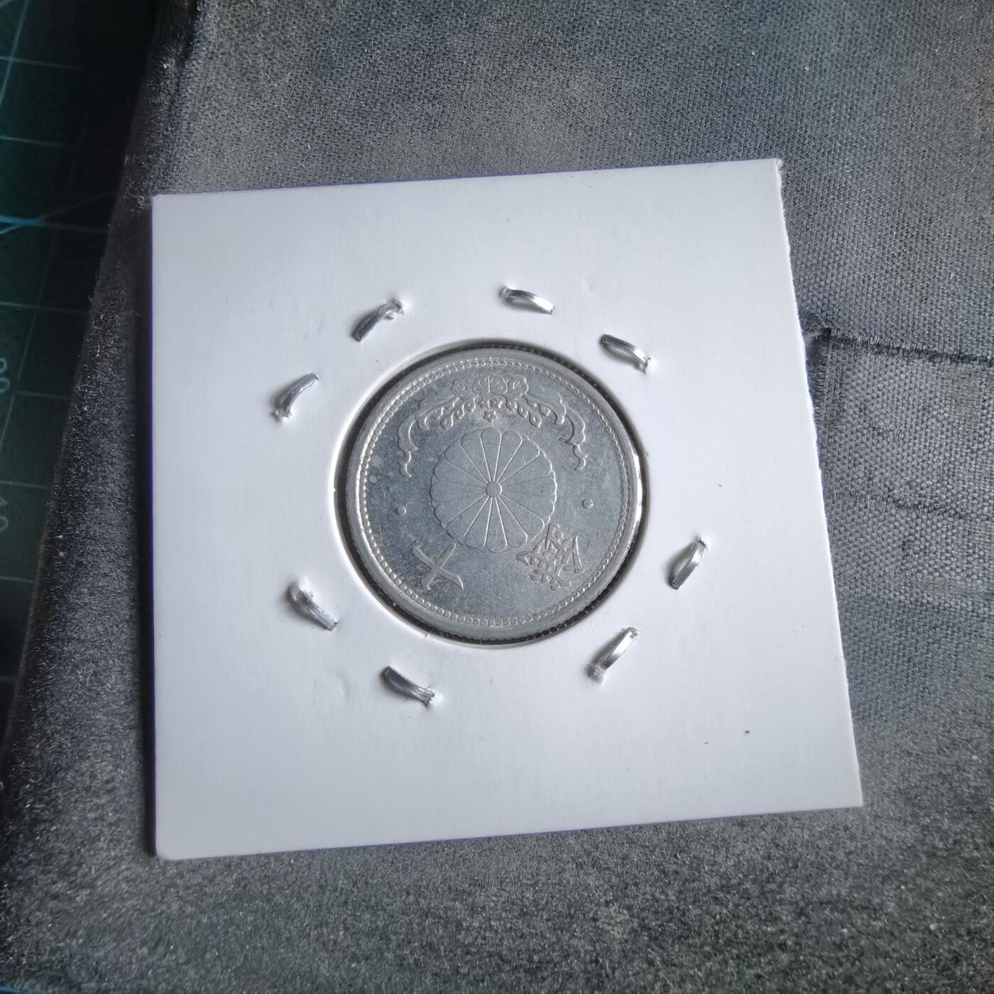 沼泽如烟--第891场