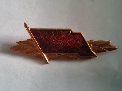 韵星假日拍卖第三十期 -- Rimey Holidays Auction 30 - 民主德国铜级工战队技能证章