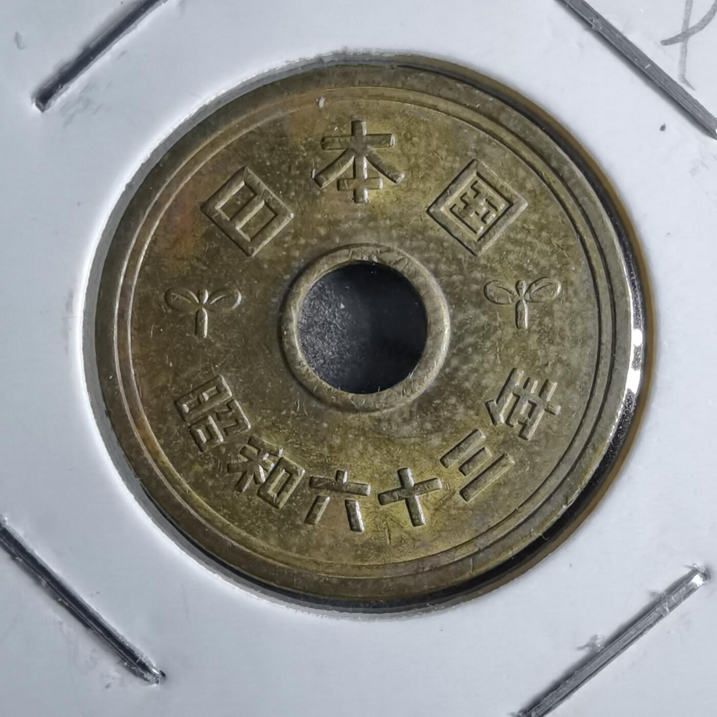 沼泽如烟--第891场