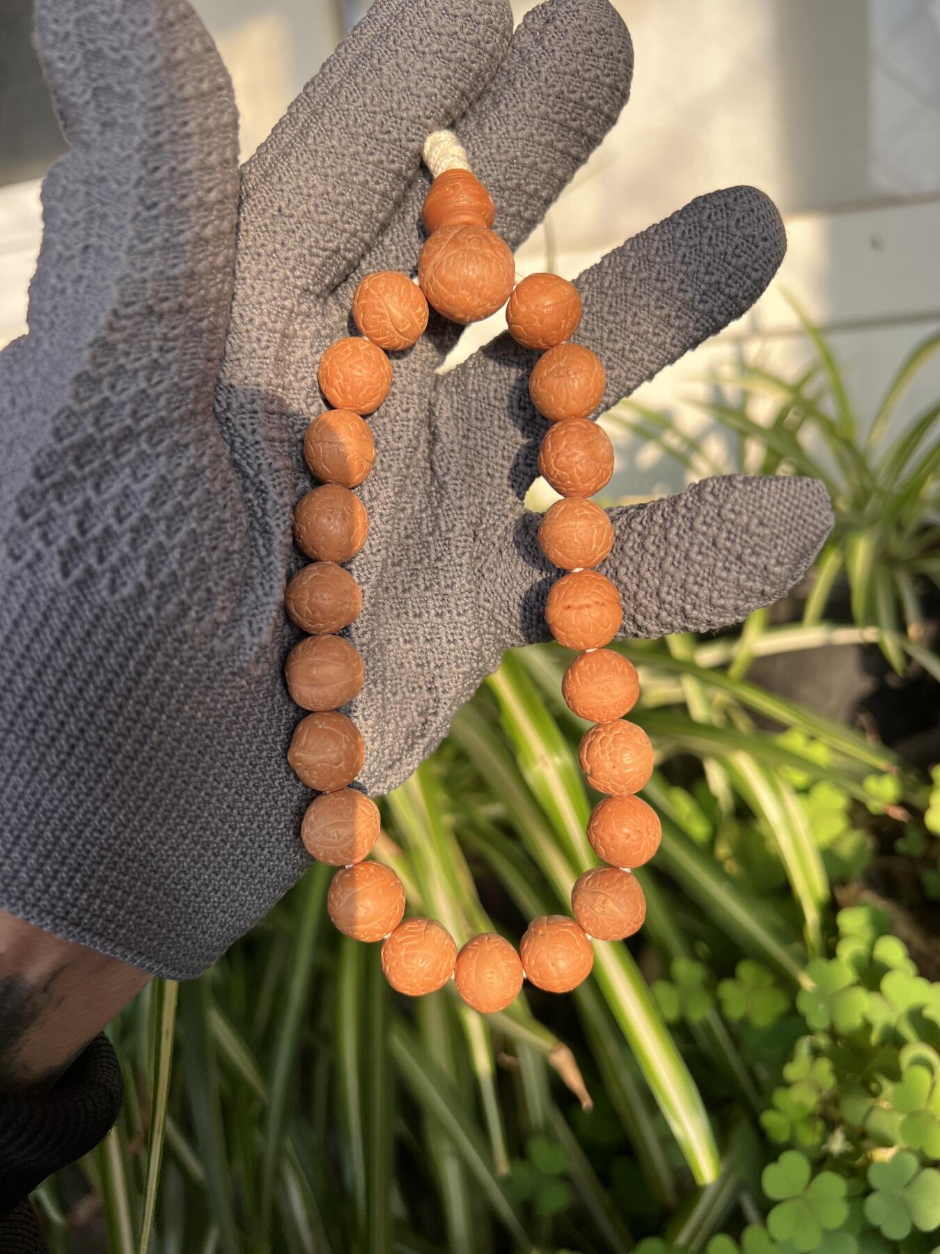 零元拍：NO.5凤眼单仓（媲美铁籽）大眼萌12MM左右念珠手串，今年新籽，皮质超棒。