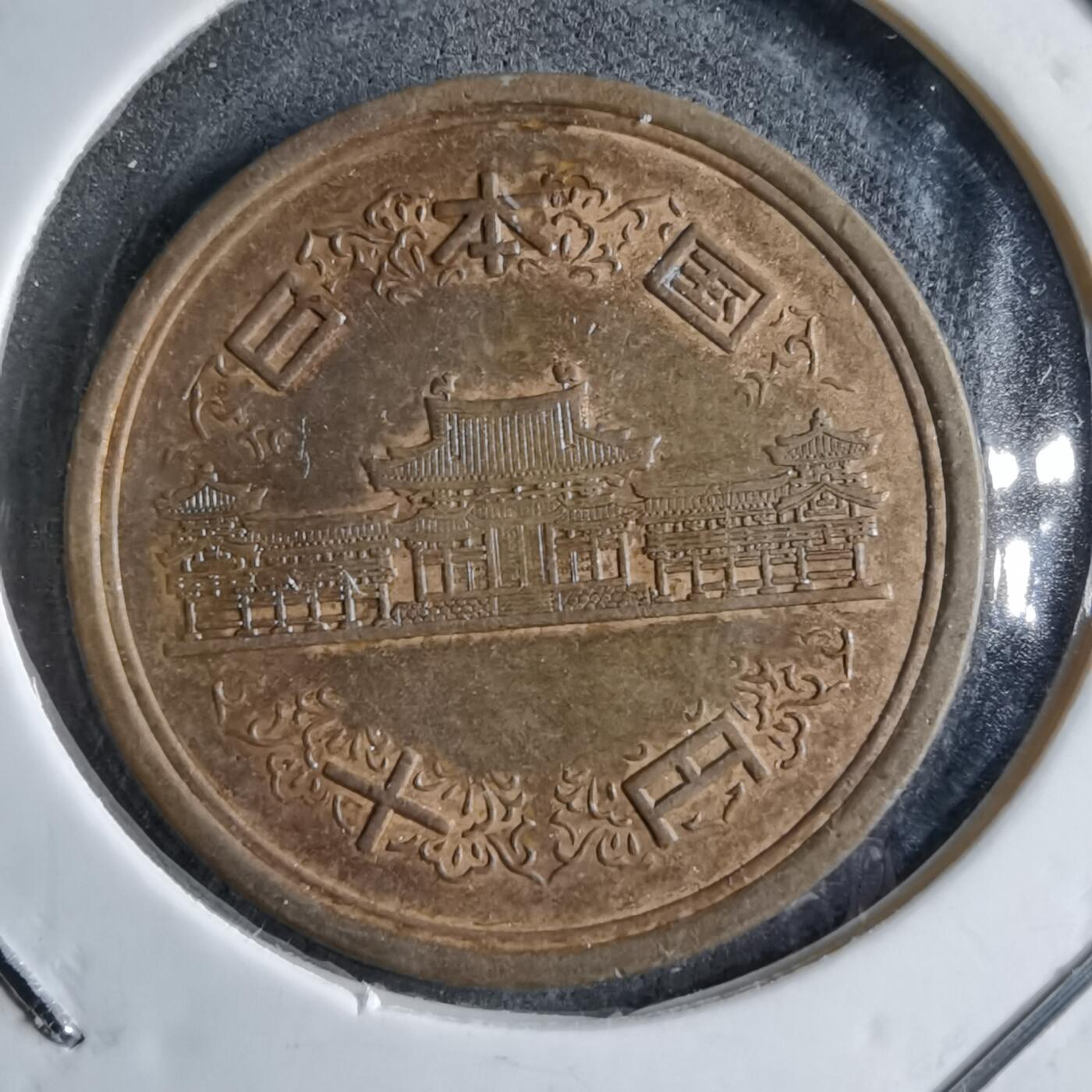 沼泽如烟--第891场