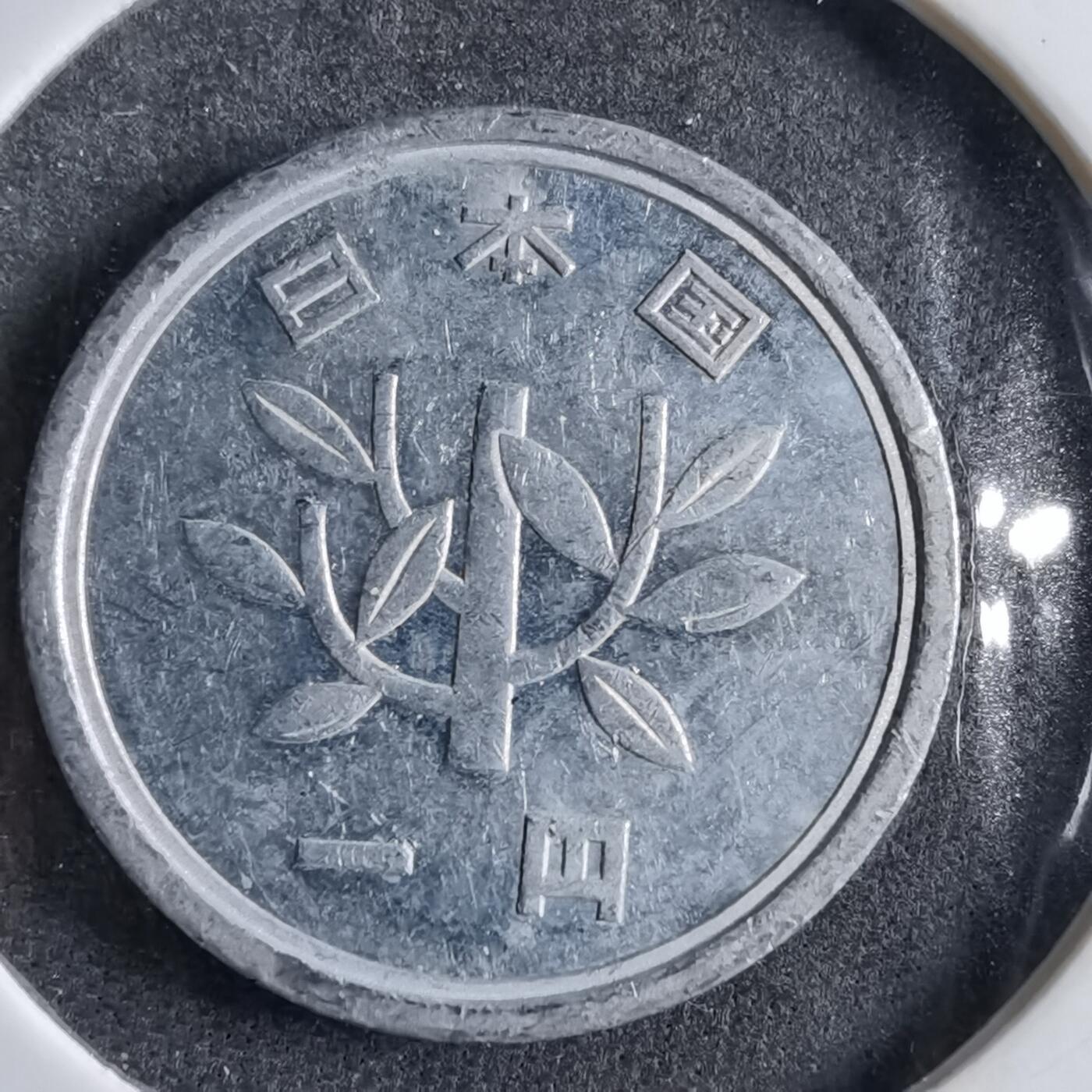 沼泽如烟--第891场