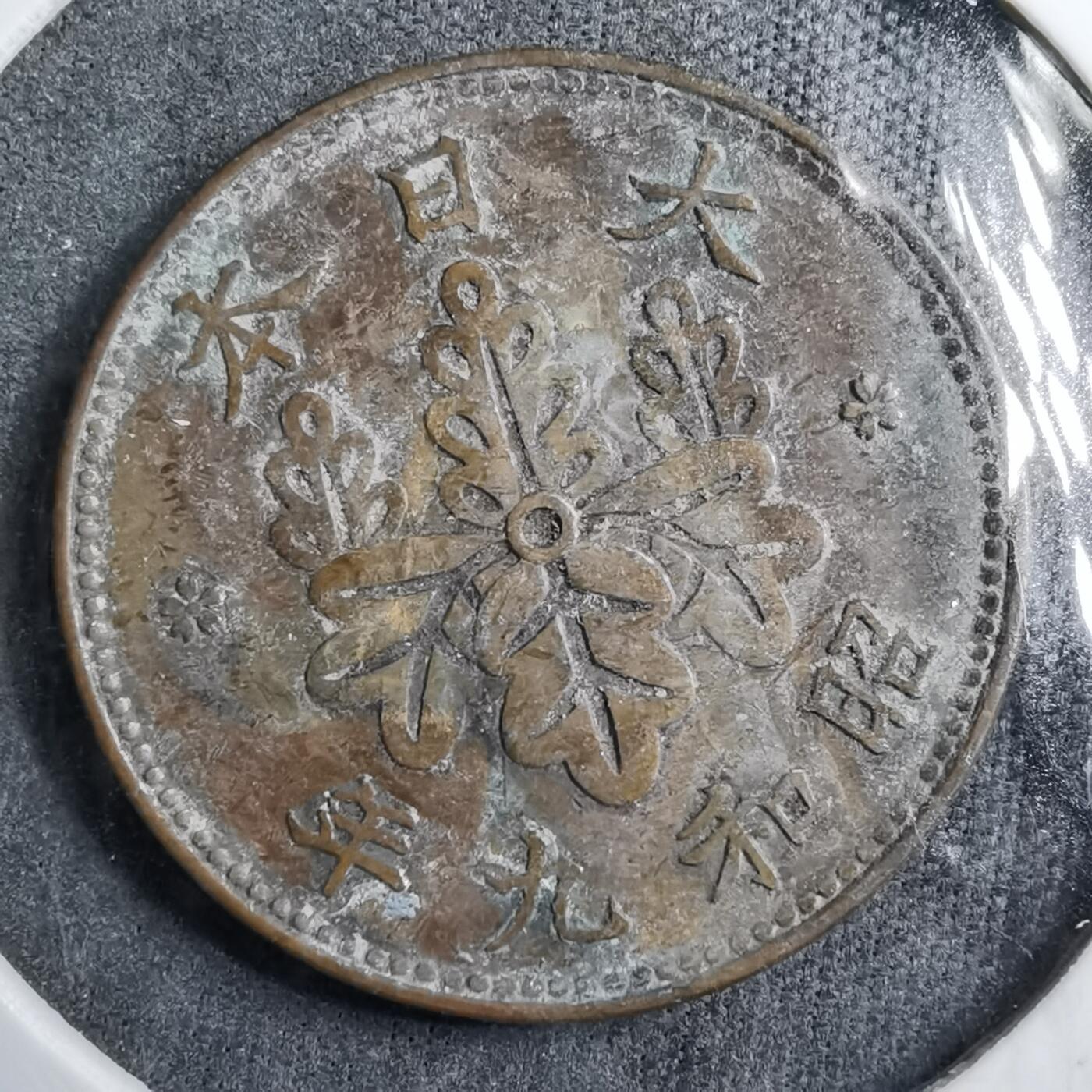 沼泽如烟--第891场