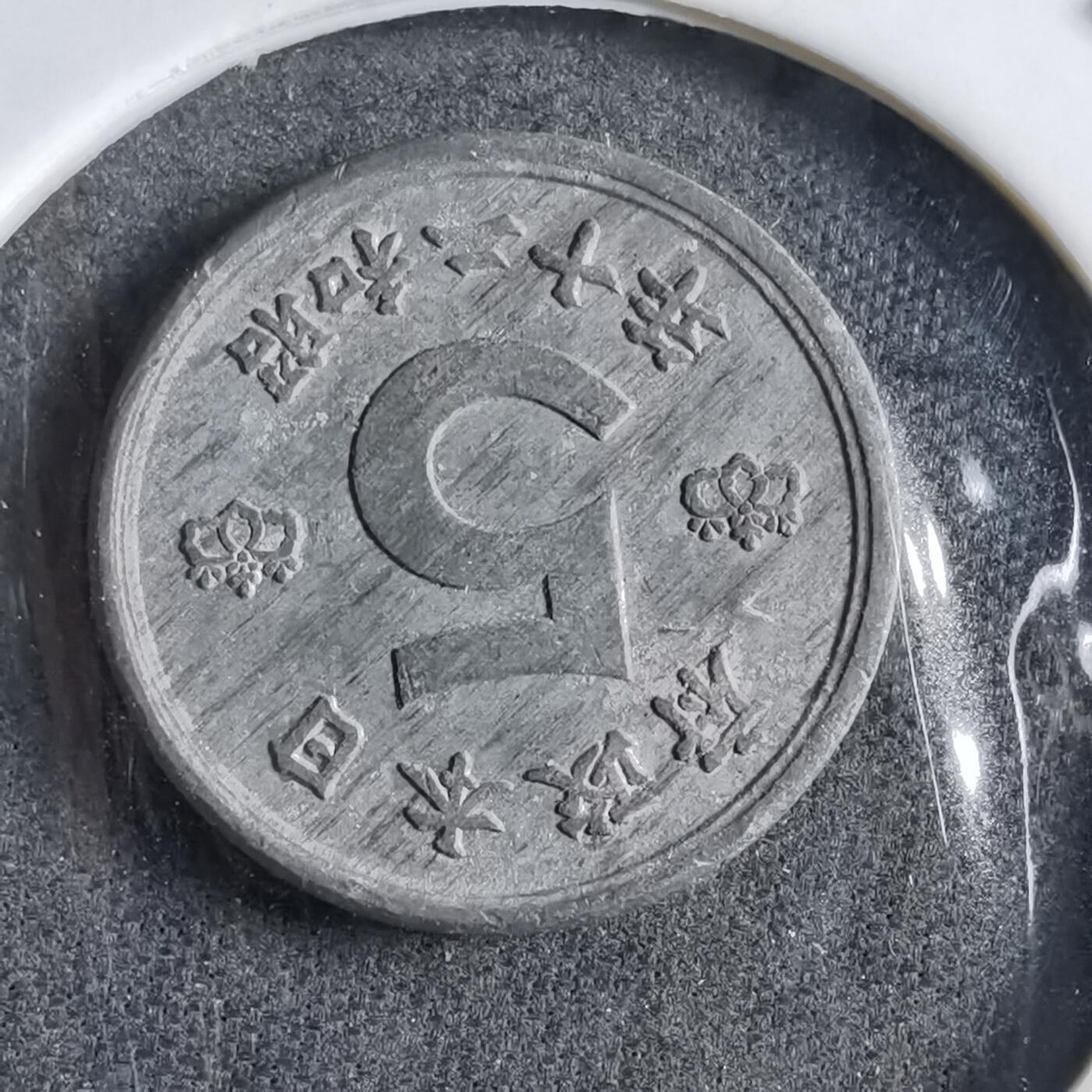 沼泽如烟--第891场