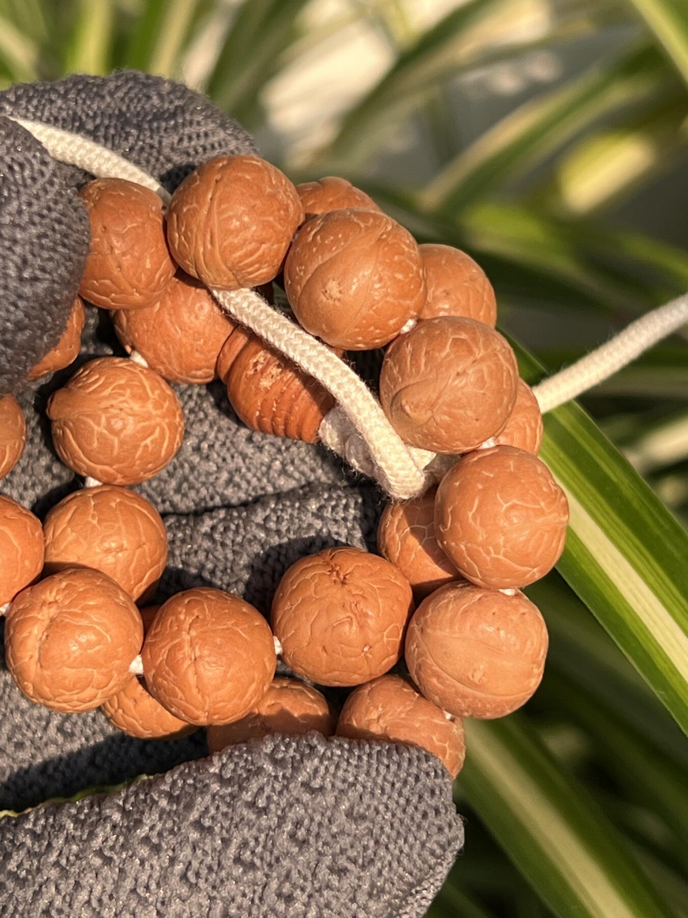 零元拍：NO.5凤眼单仓（媲美铁籽）大眼萌12MM左右念珠手串，今年新籽，皮质超棒。