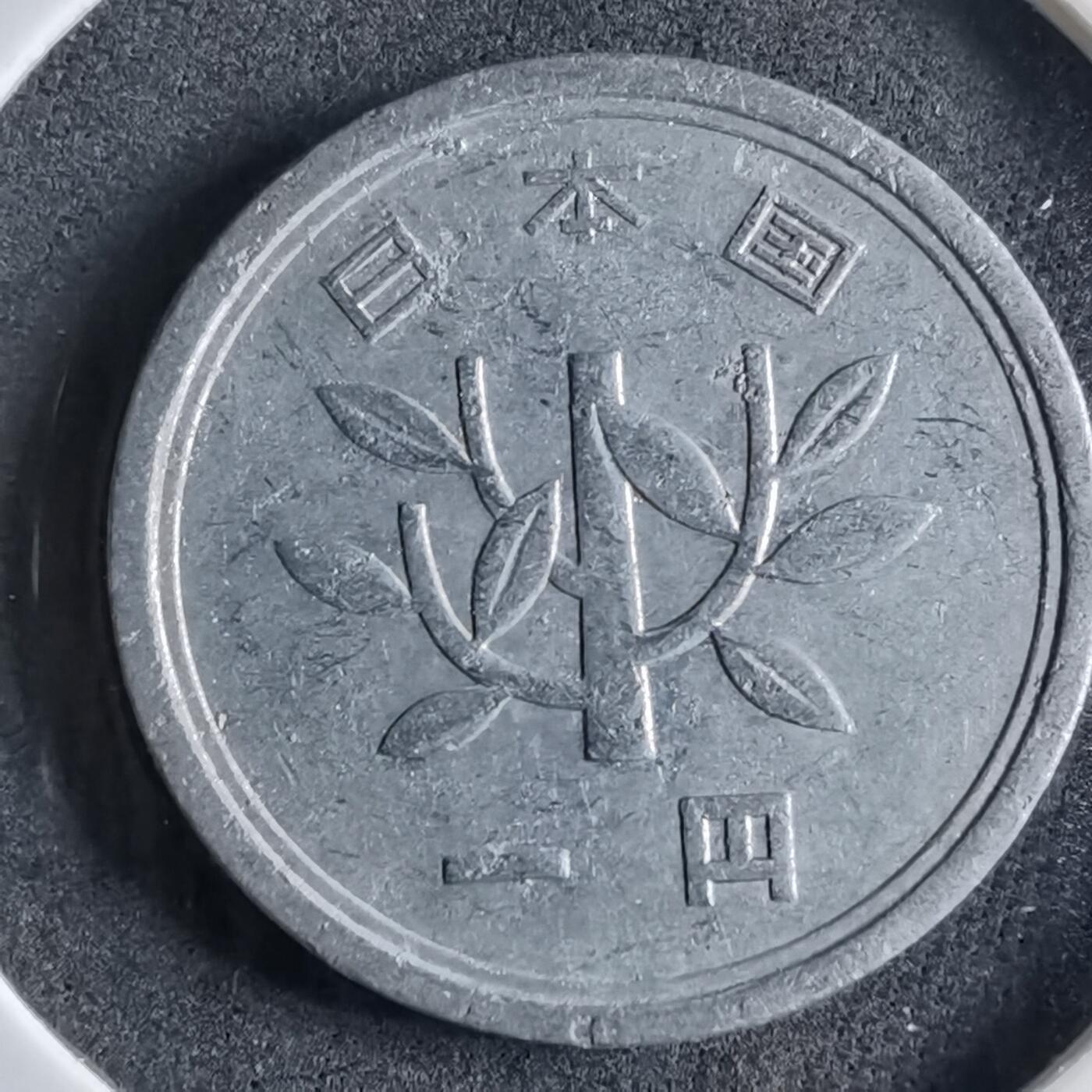 沼泽如烟--第891场