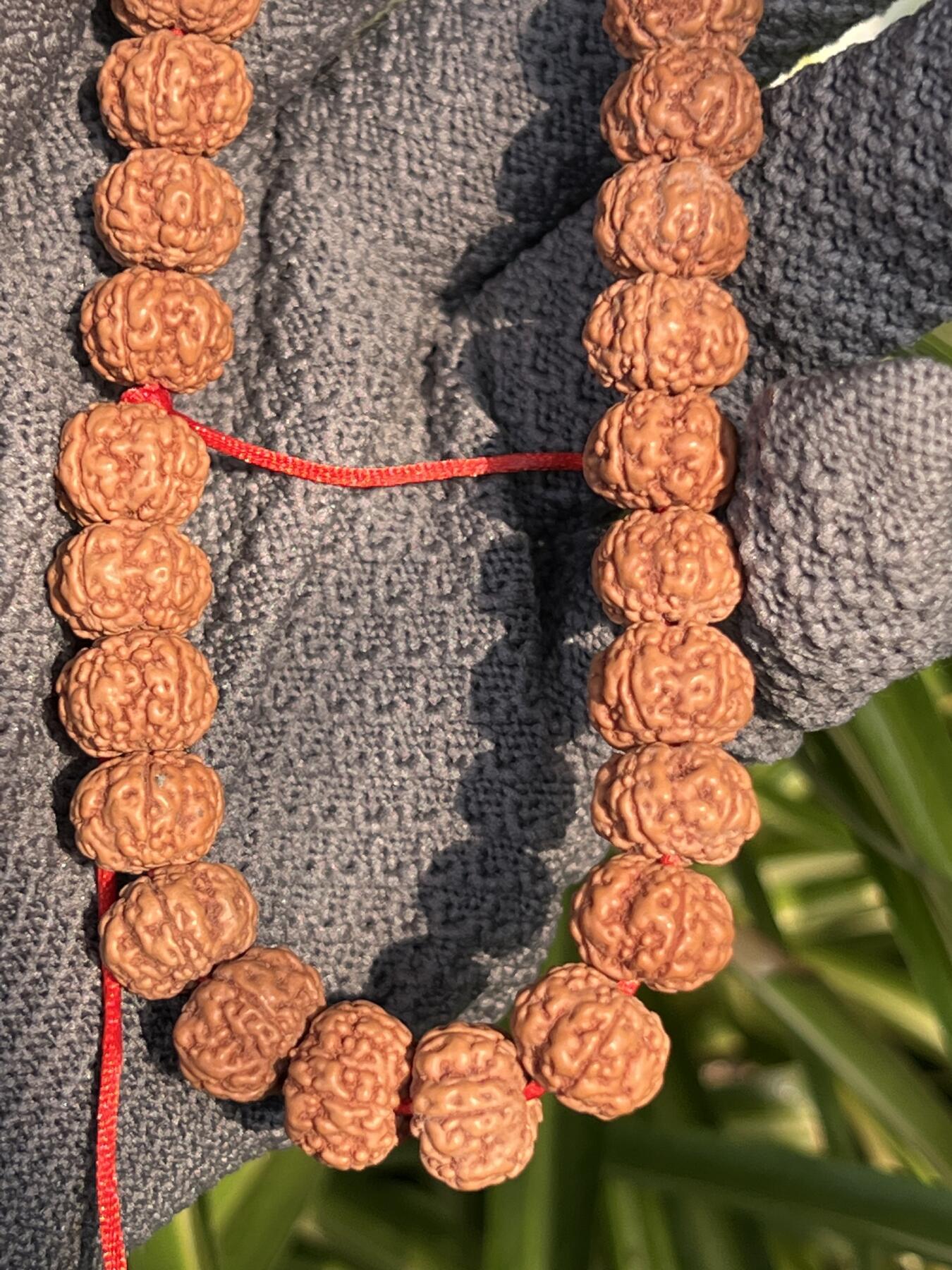 零元拍：NO.10 原生态矮桩花王金刚菩提手持，12/8.5 