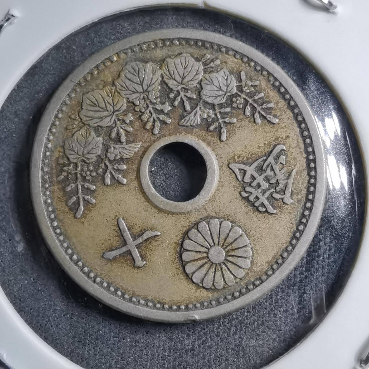 沼泽如烟--第891场