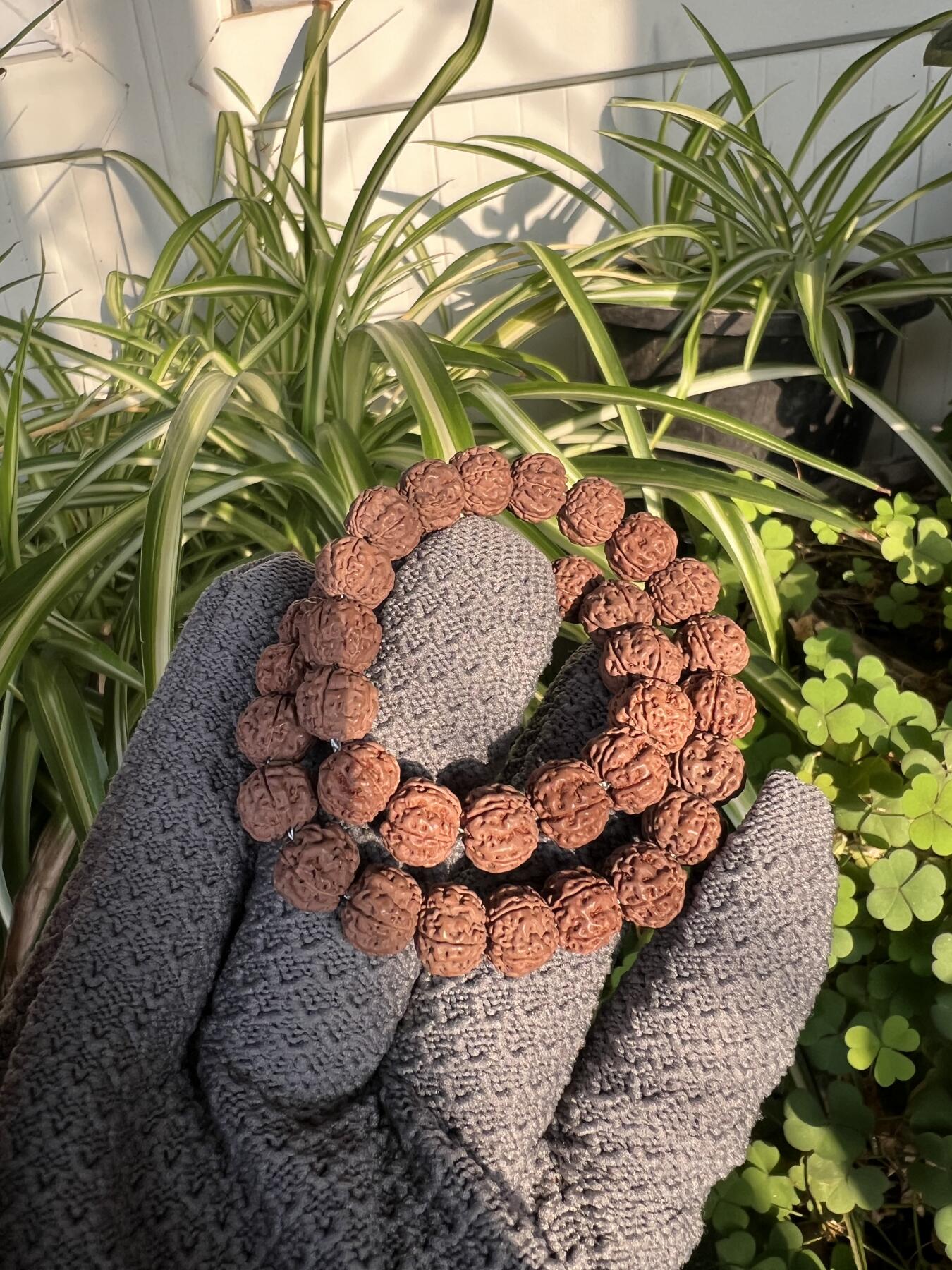 零元拍：NO.11 原生态矮桩平细金刚菩提手持，10/8.5 左右