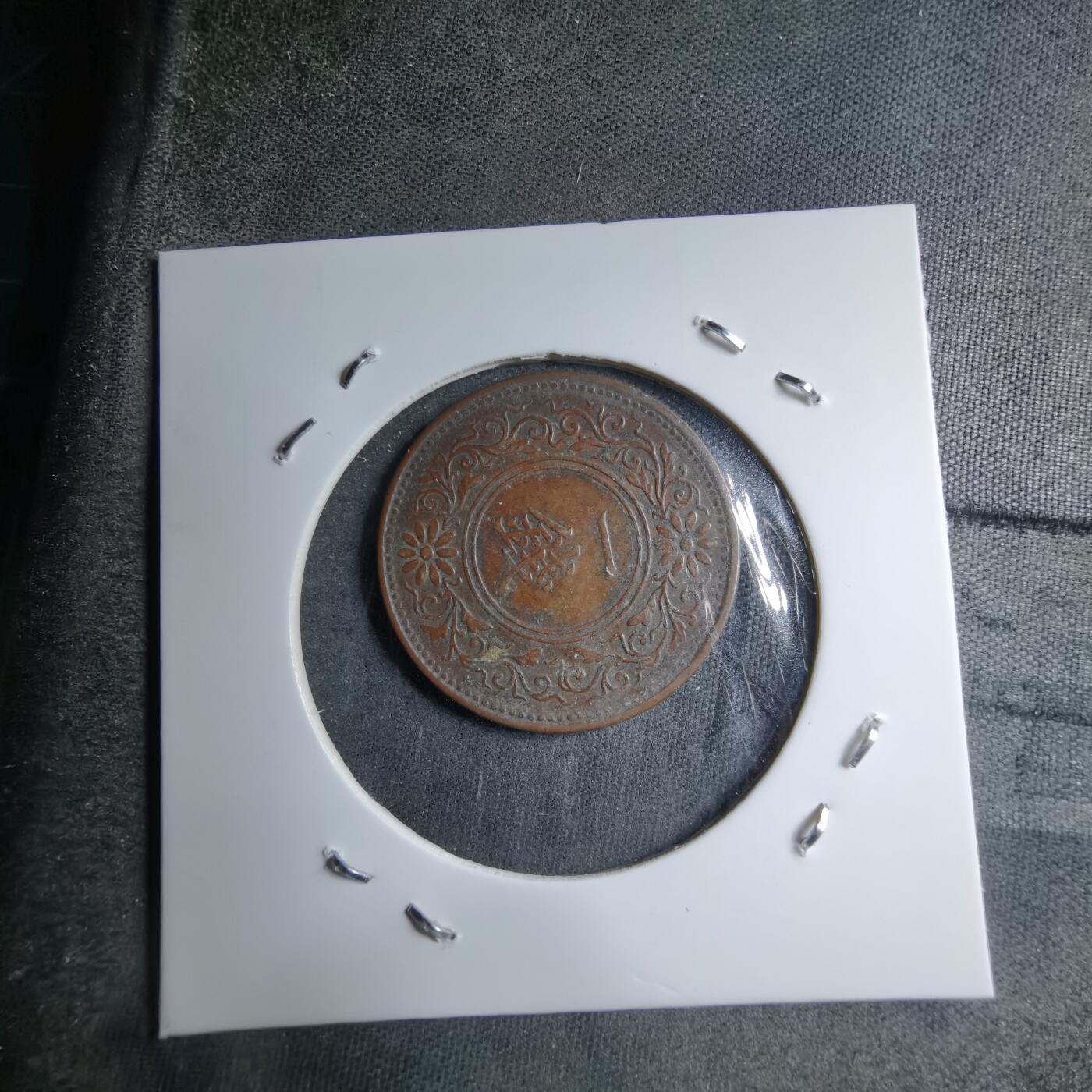 沼泽如烟--第891场