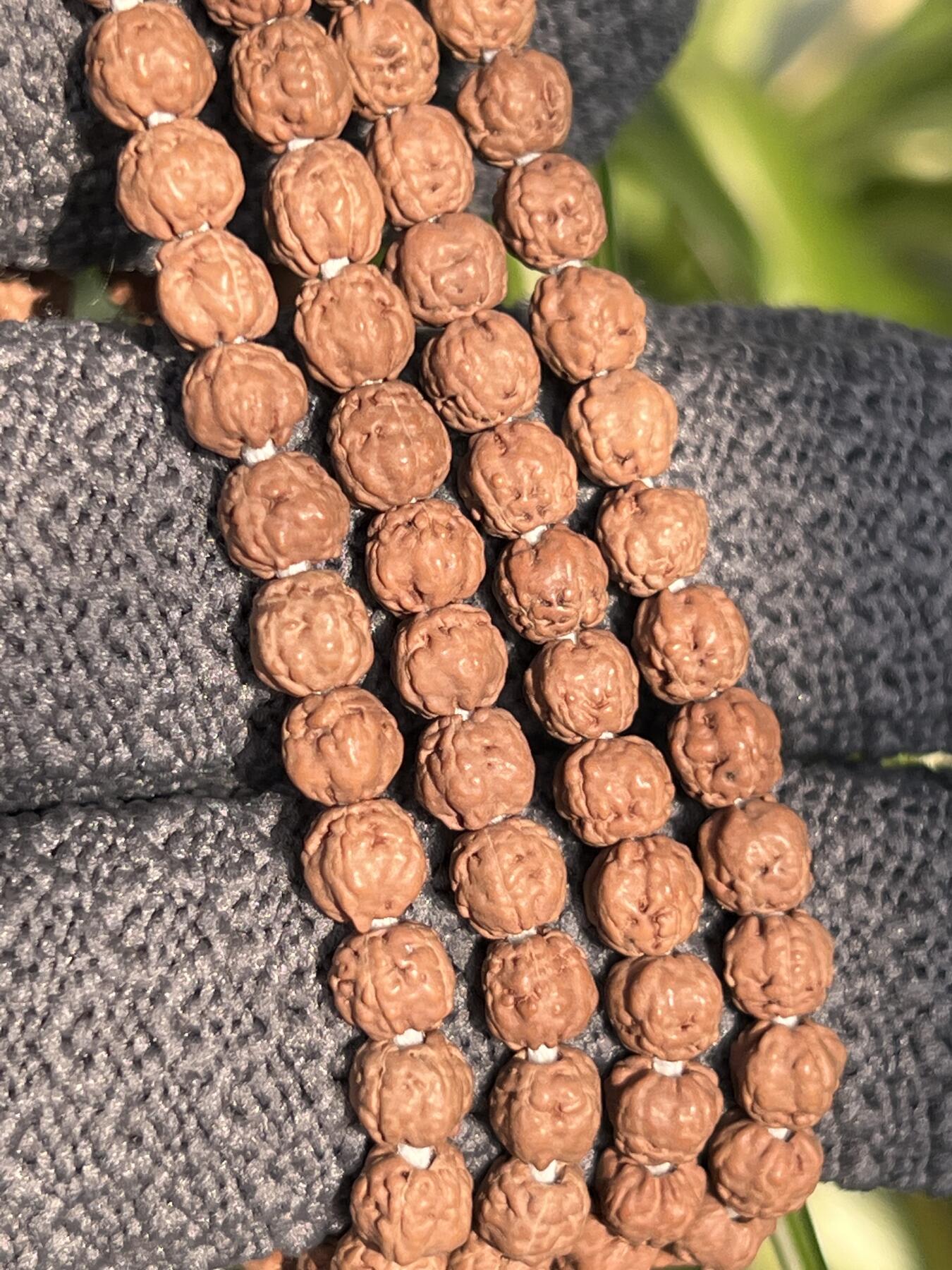 零元拍：NO.8 五爪金龙小佛手长串5MM左右，非常容易变红，坊间人称三日红，很容易有盘玩成就感。图8是我自己盘玩效果