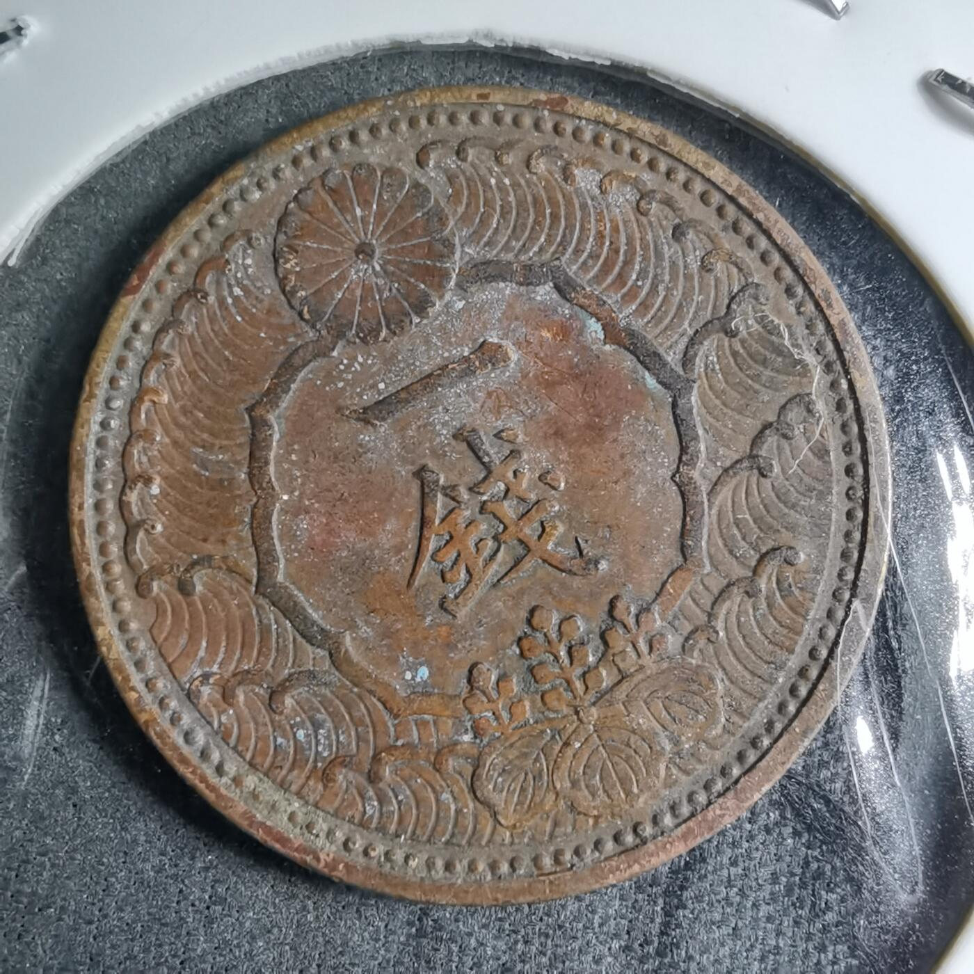 沼泽如烟--第891场