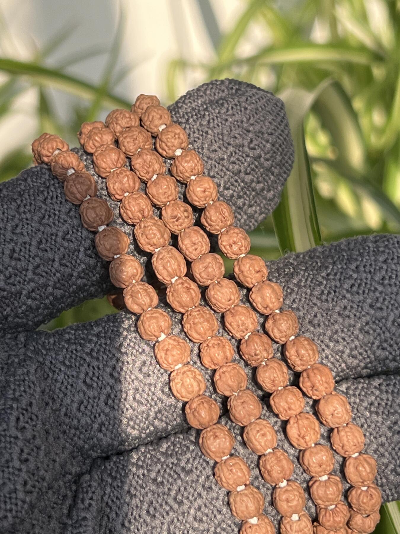 零元拍：NO.8 五爪金龙小佛手长串5MM左右，非常容易变红，坊间人称三日红，很容易有盘玩成就感。图8是我自己盘玩效果