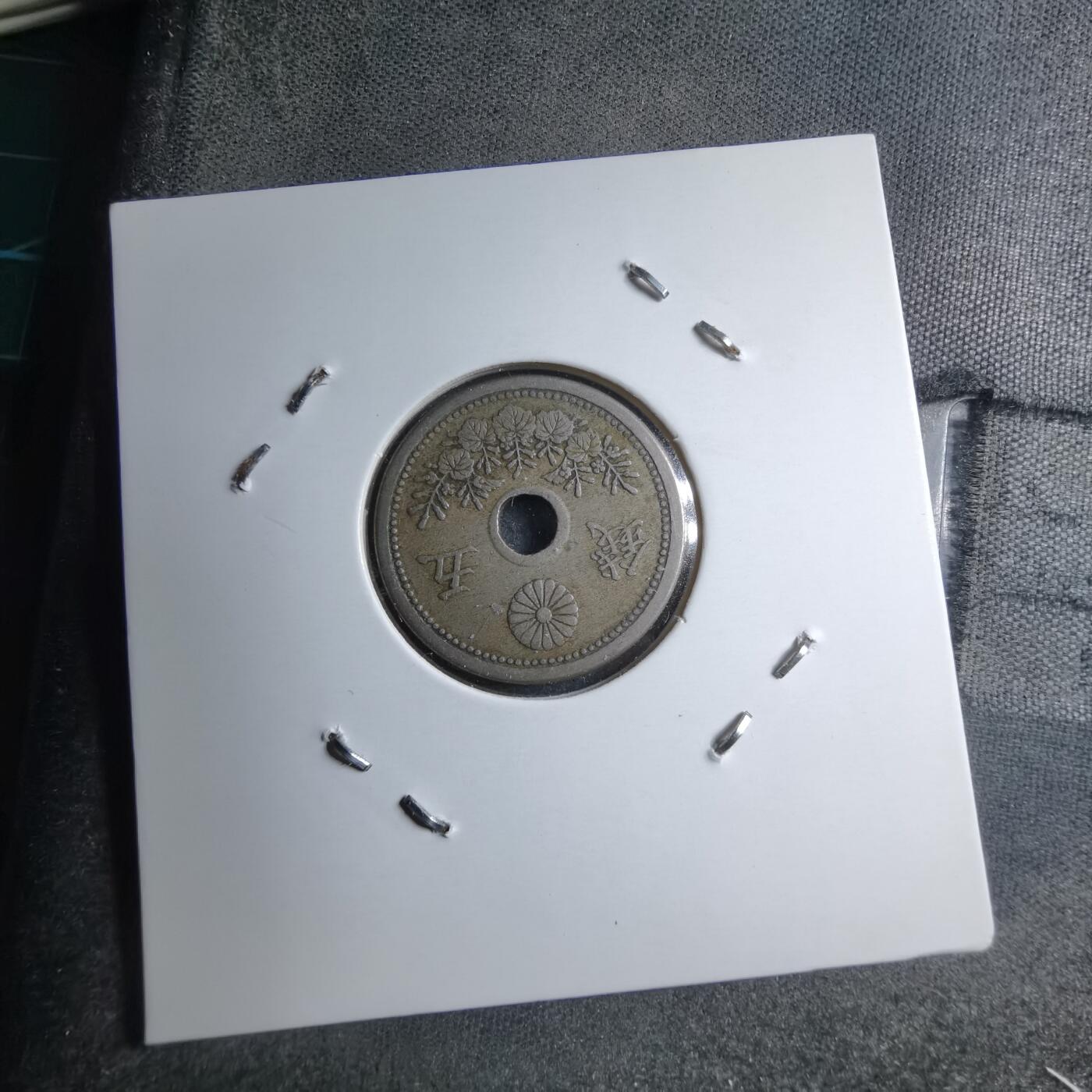 沼泽如烟--第891场