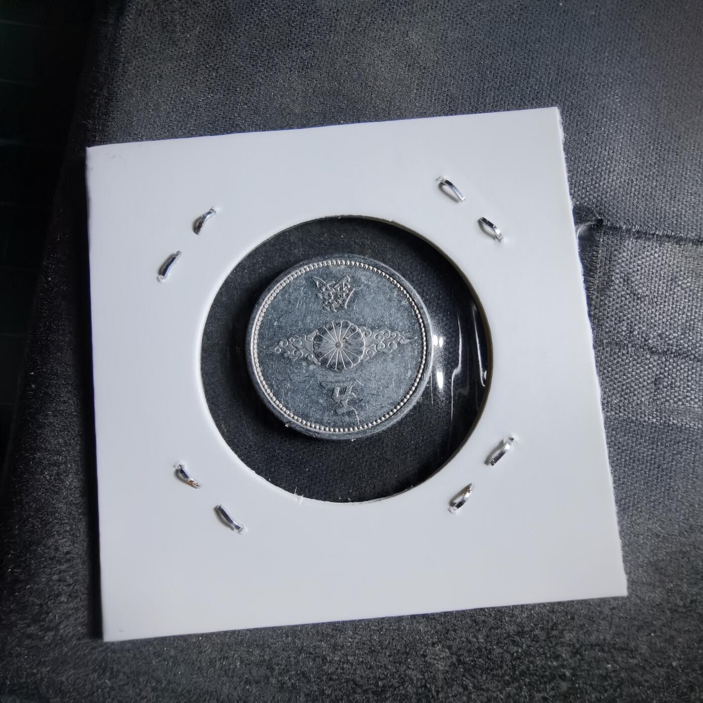 沼泽如烟--第891场