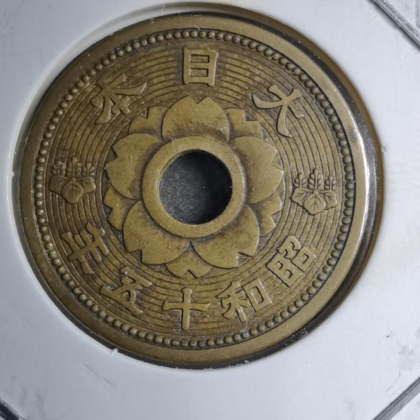 沼泽如烟--第891场