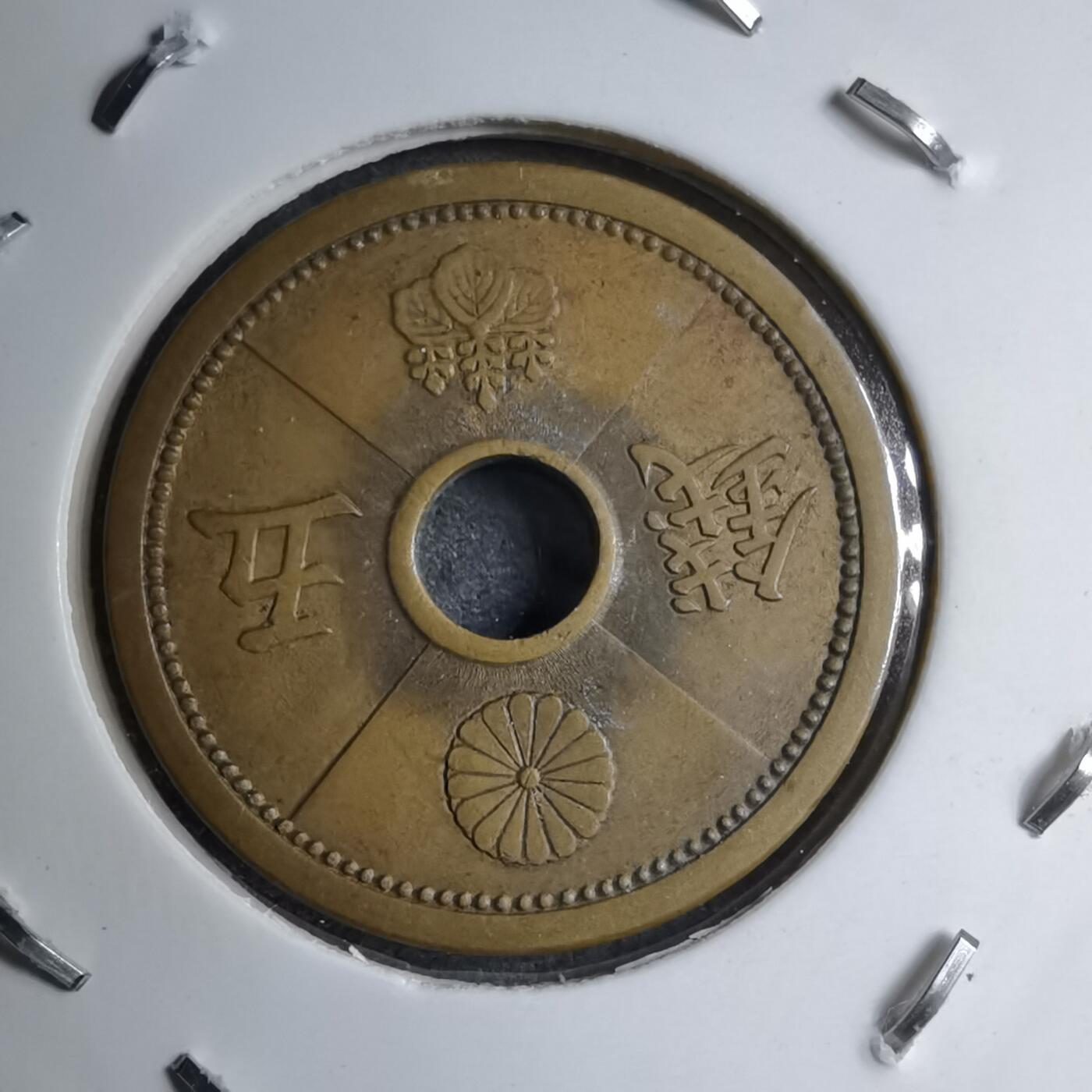 沼泽如烟--第891场