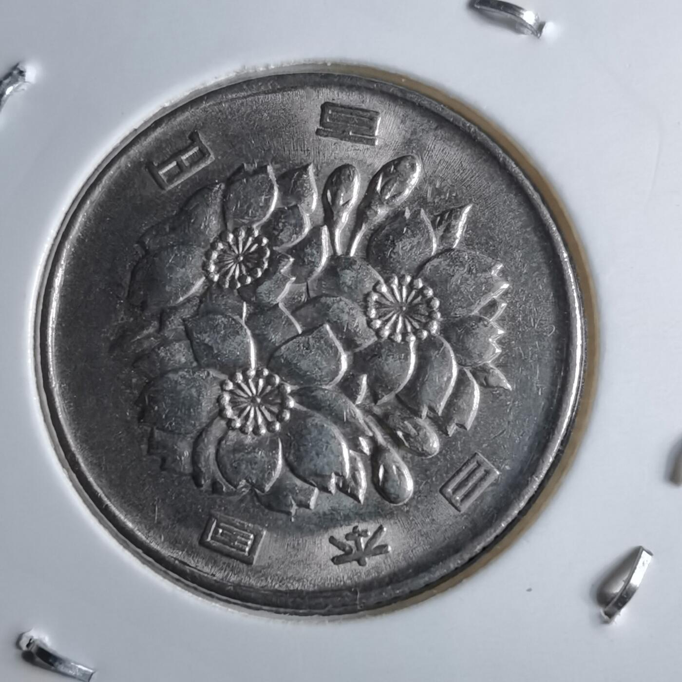 沼泽如烟--第891场