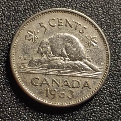 泉币菌-第127场-精品福利场(115场之后的本周末发货，感谢理解) - 加拿大5分海狸动物21mm 美洲币