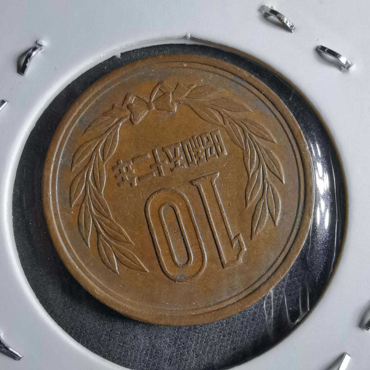 沼泽如烟--第891场