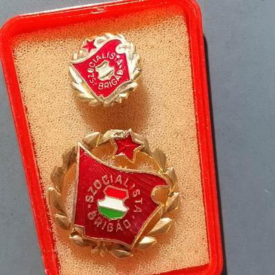 PCAI钱币8-587  长城币钱币小专场 - 匈牙利章