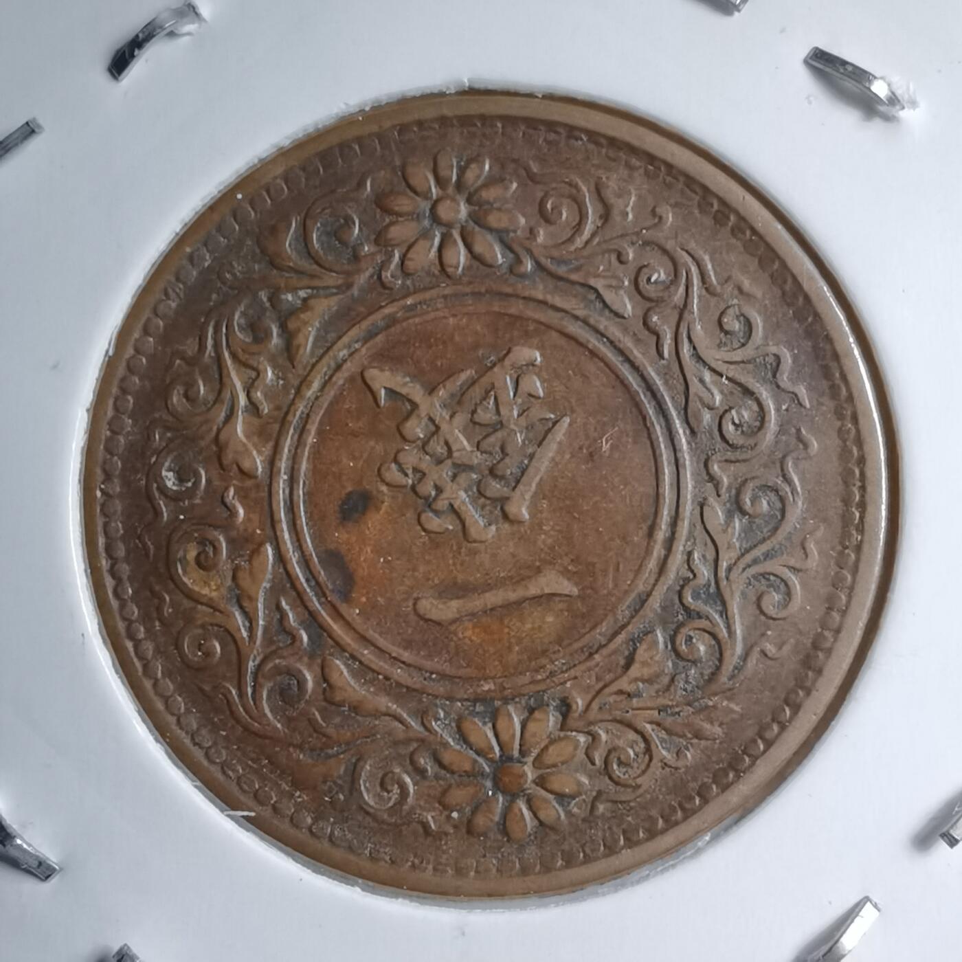 沼泽如烟--第891场