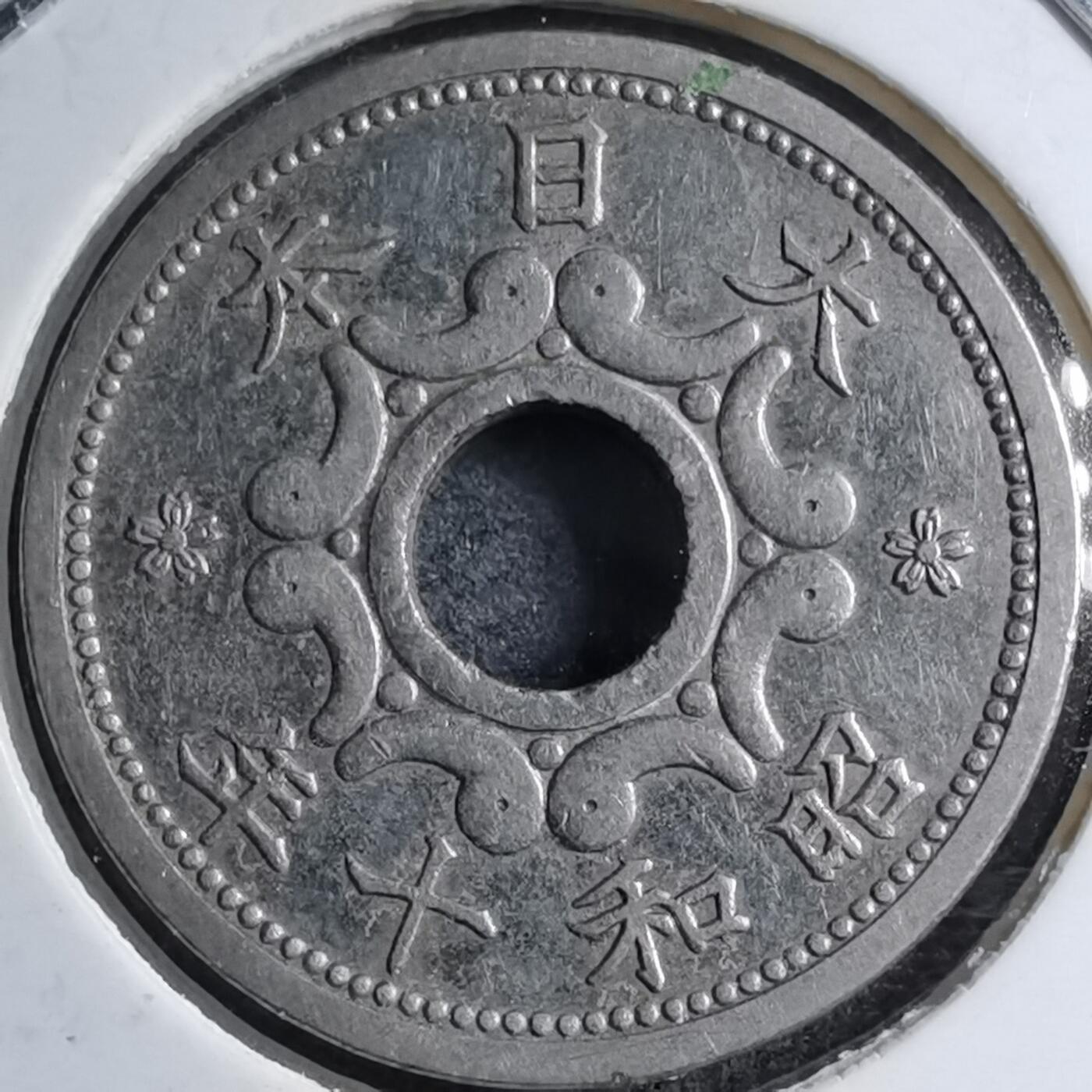 沼泽如烟--第891场