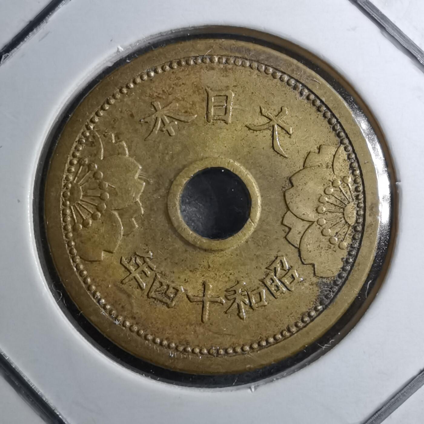 沼泽如烟--第891场