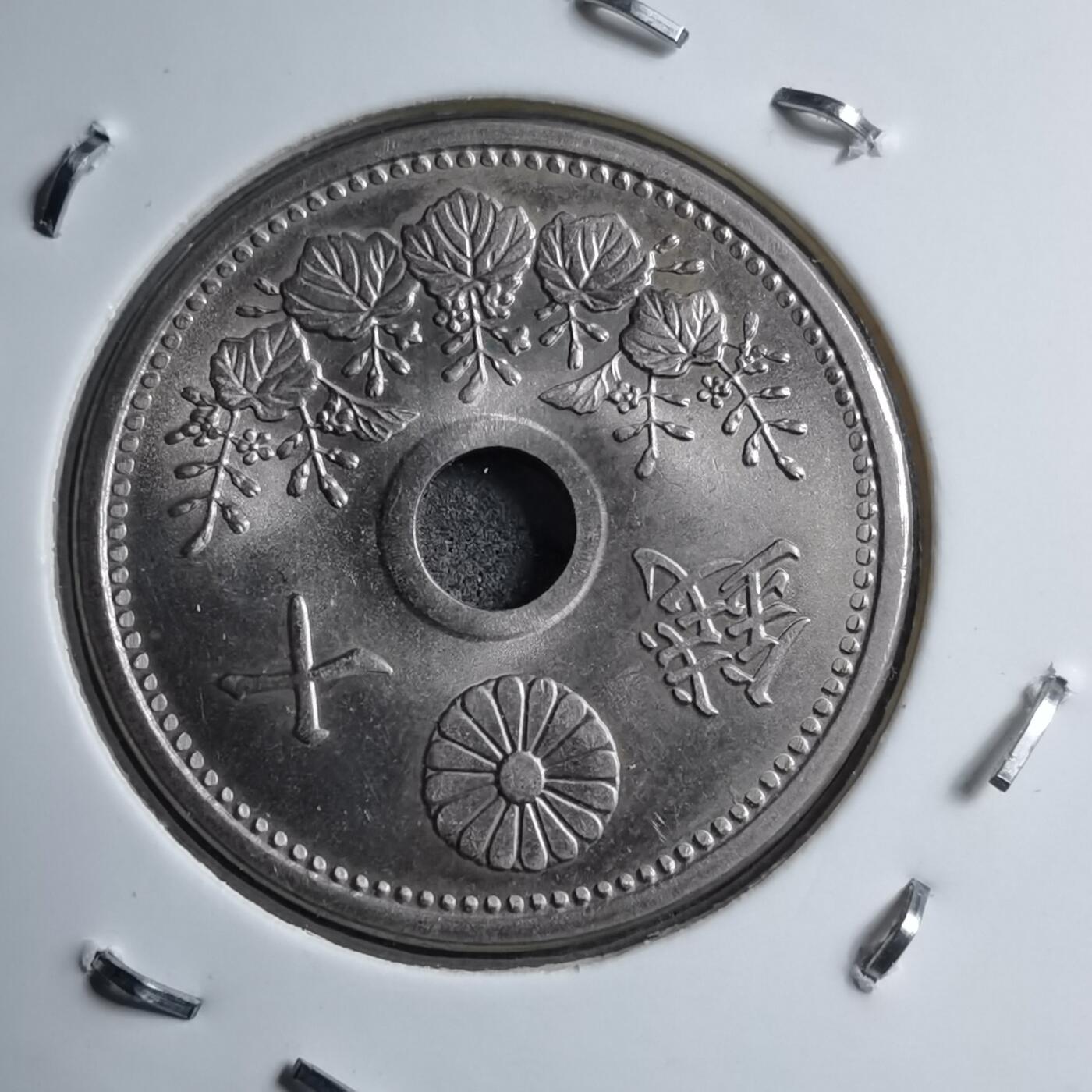 沼泽如烟--第891场