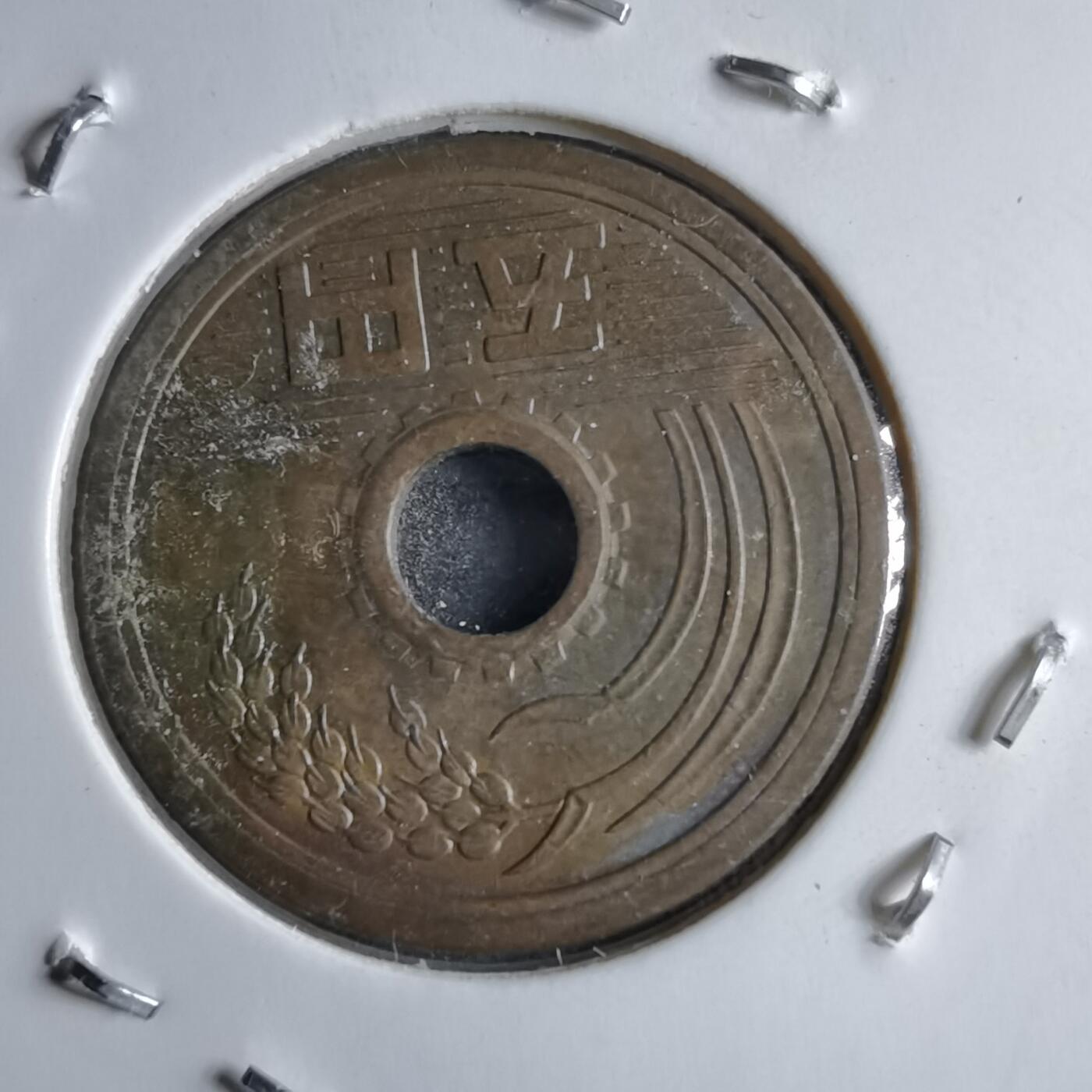 沼泽如烟--第891场