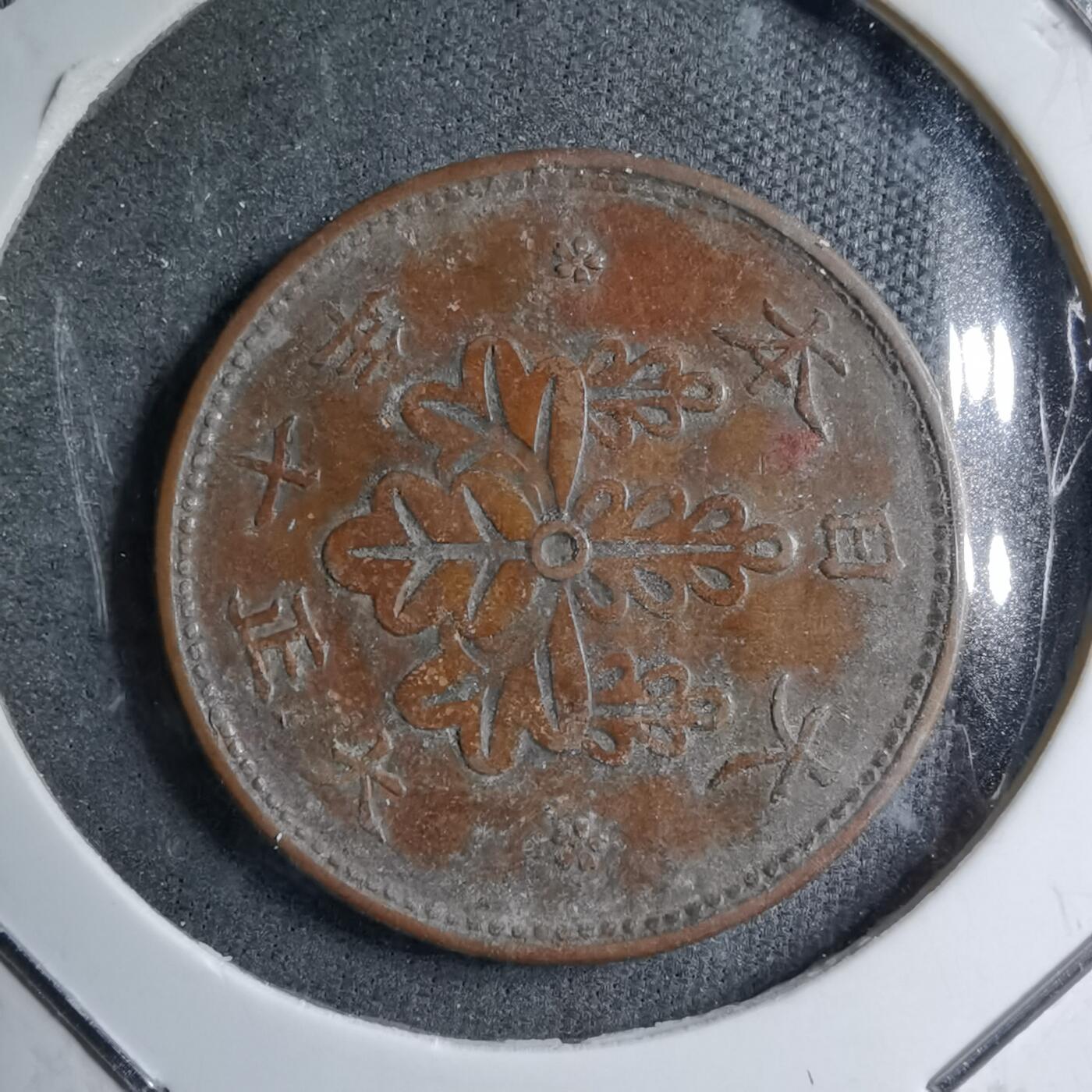 沼泽如烟--第891场