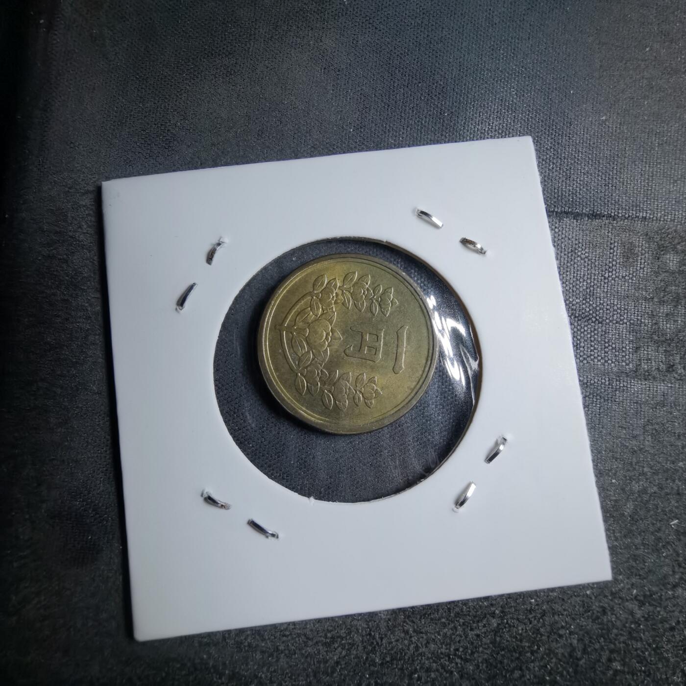 沼泽如烟--第891场