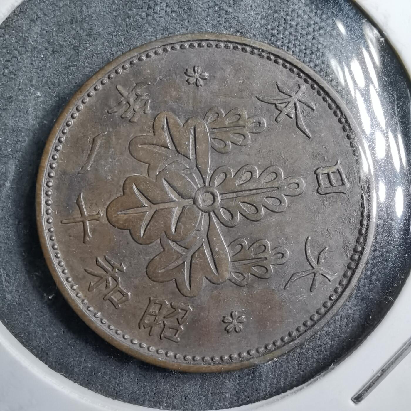 沼泽如烟--第891场