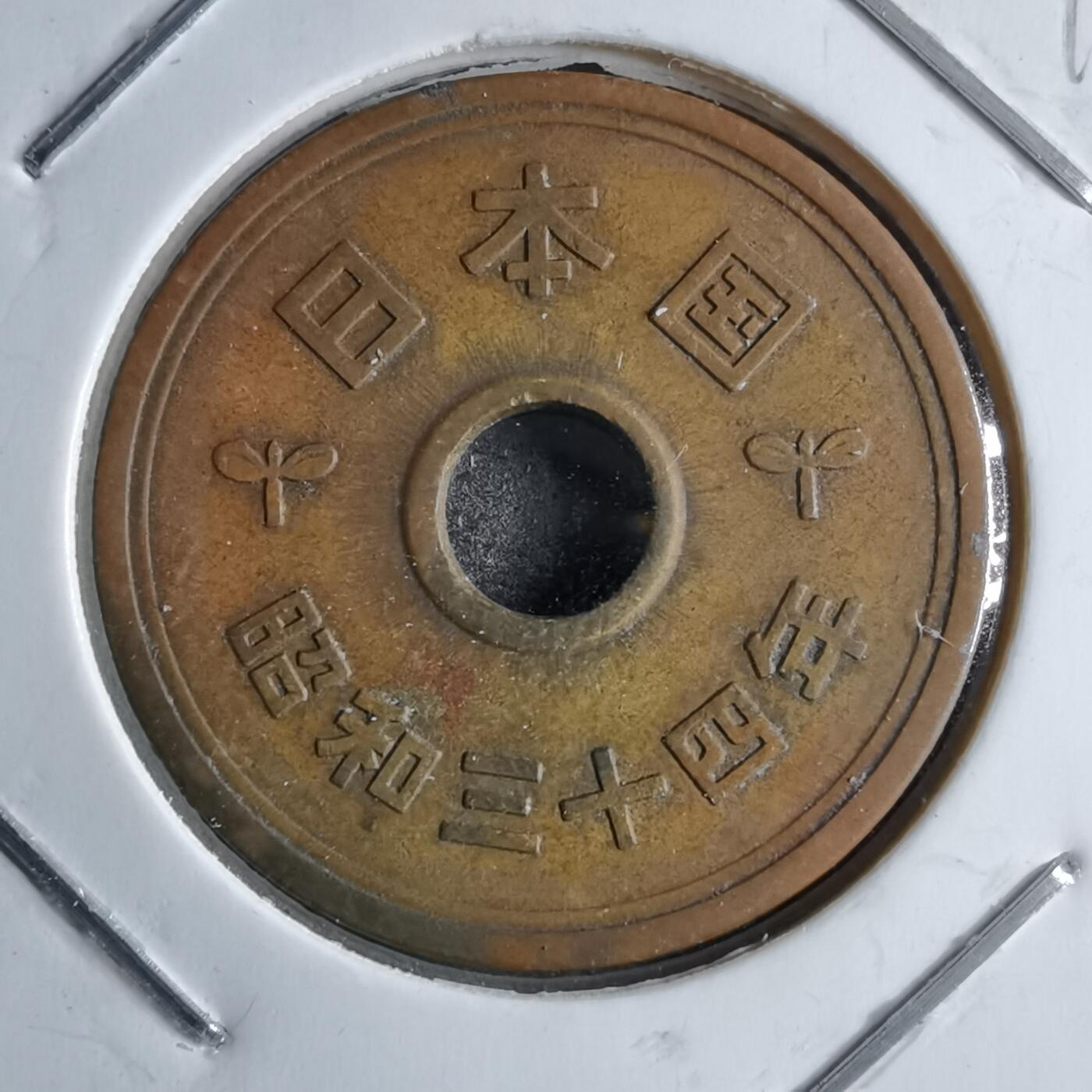 沼泽如烟--第891场