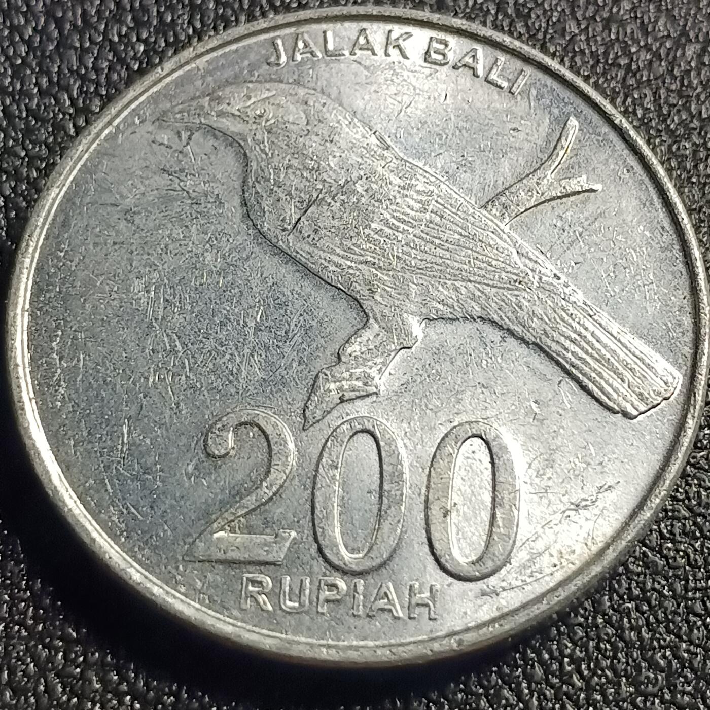 泉币菌-第128场-精品福利场(115场之后的本周末发货，感谢理解) 。