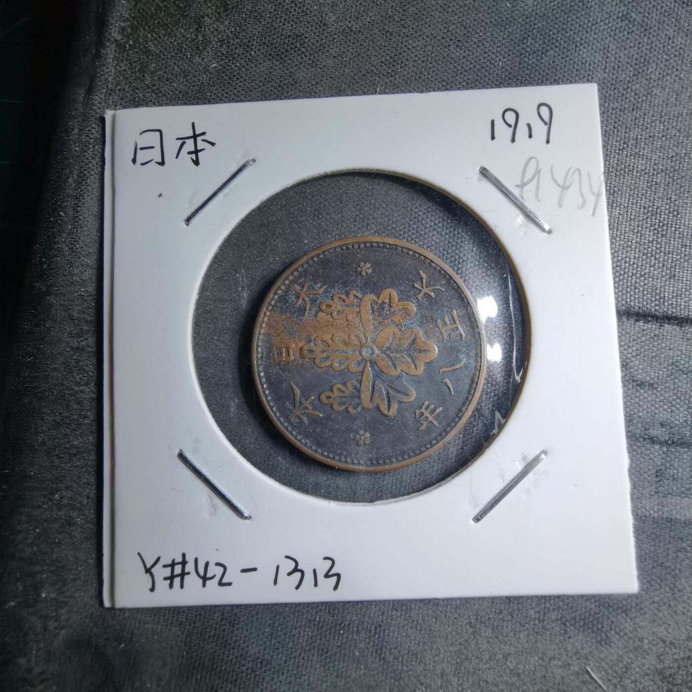 沼泽如烟--第891场