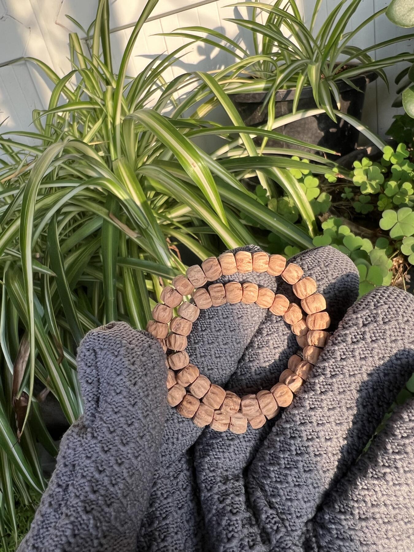 零元拍：NO.6 百香籽 手持 手串 6/4左右