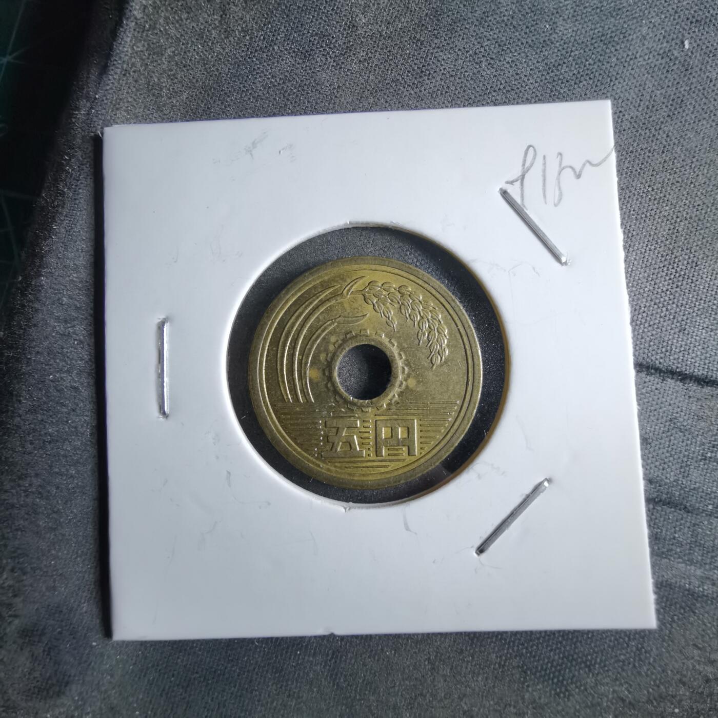 沼泽如烟--第891场