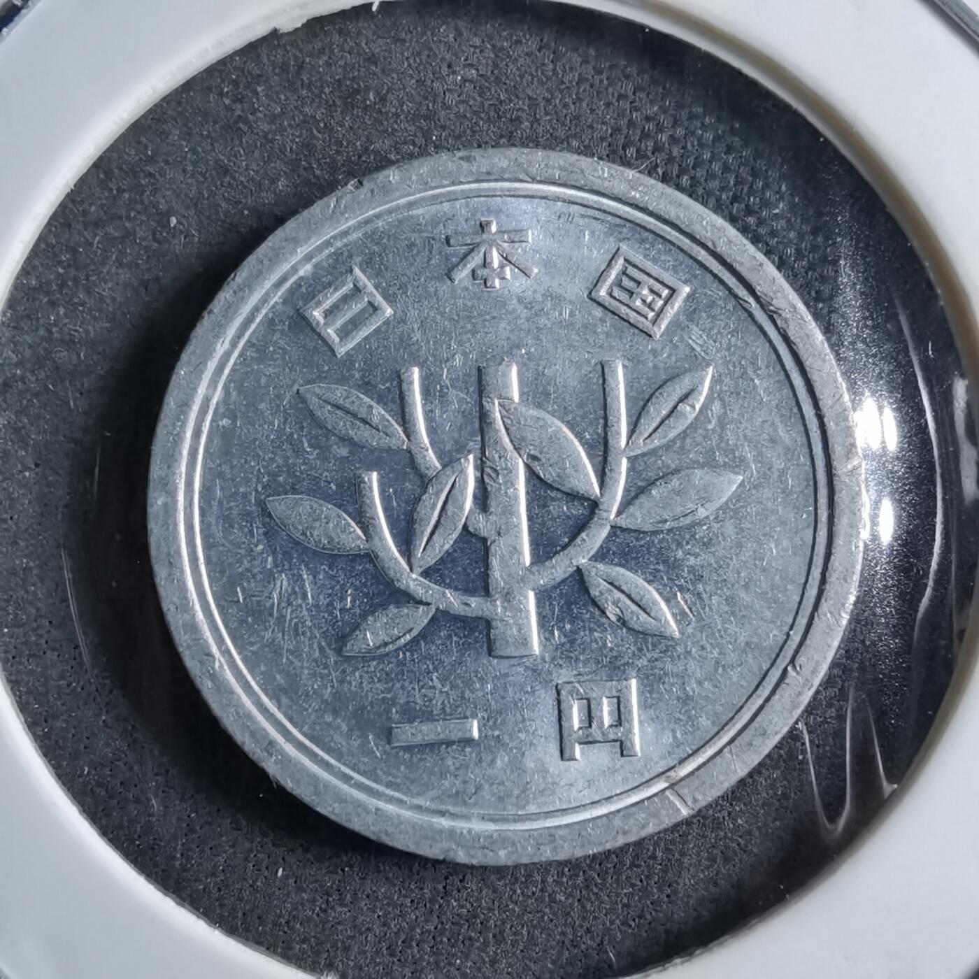 沼泽如烟--第891场