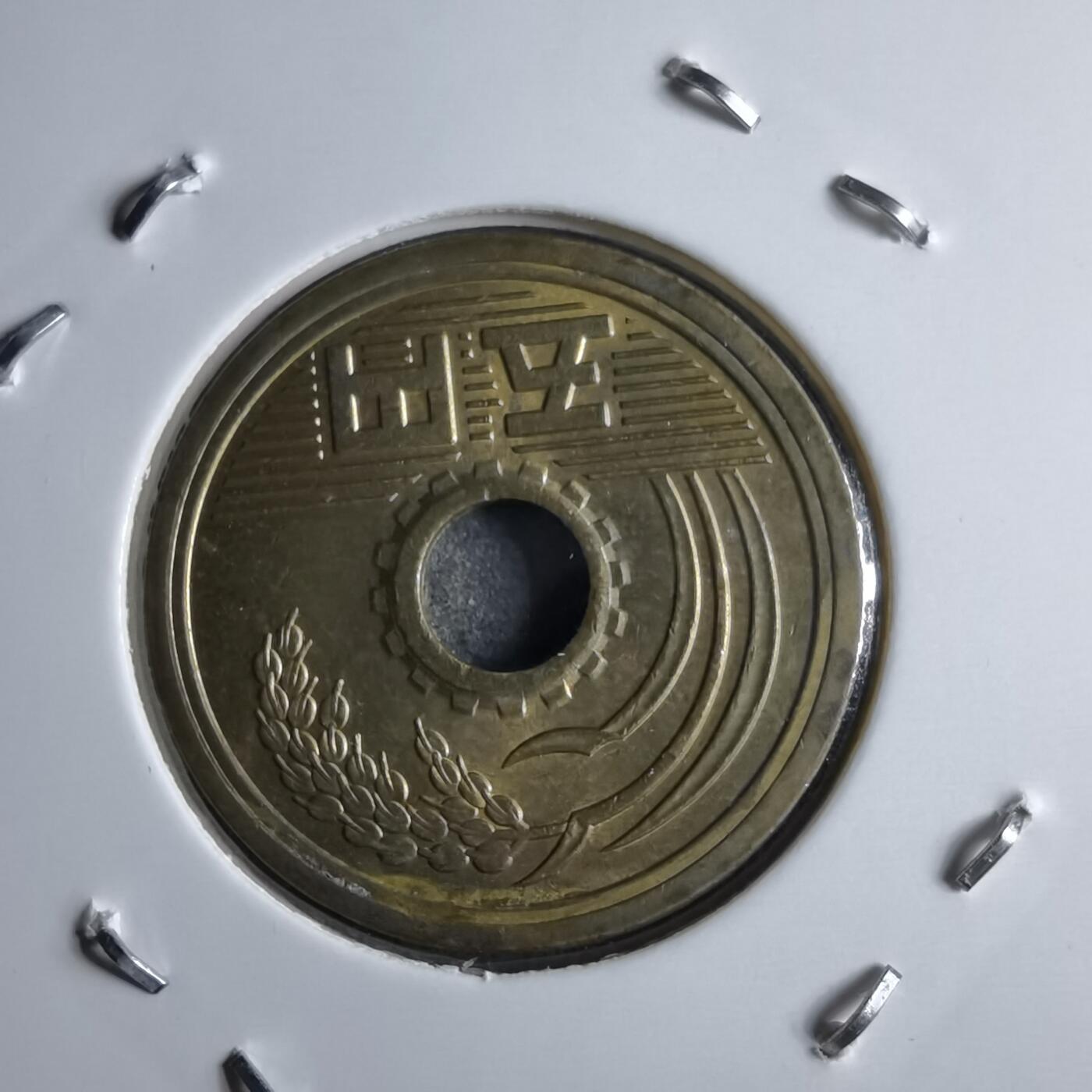 沼泽如烟--第891场