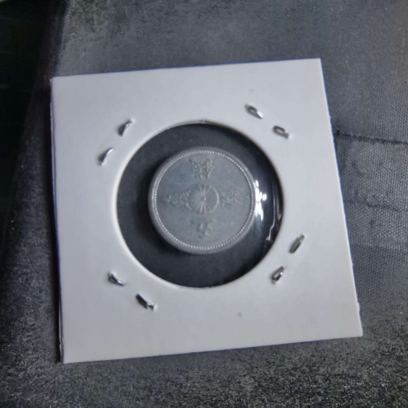 沼泽如烟--第891场