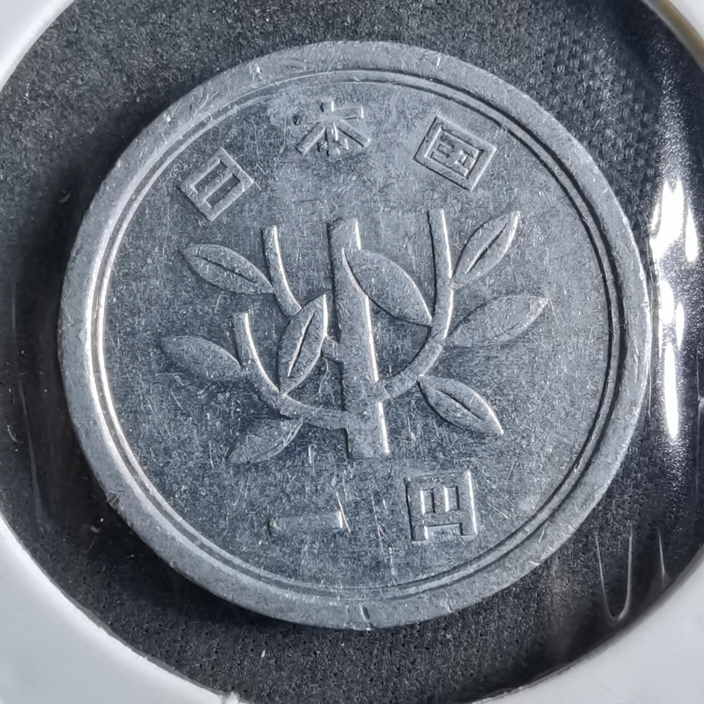 沼泽如烟--第891场