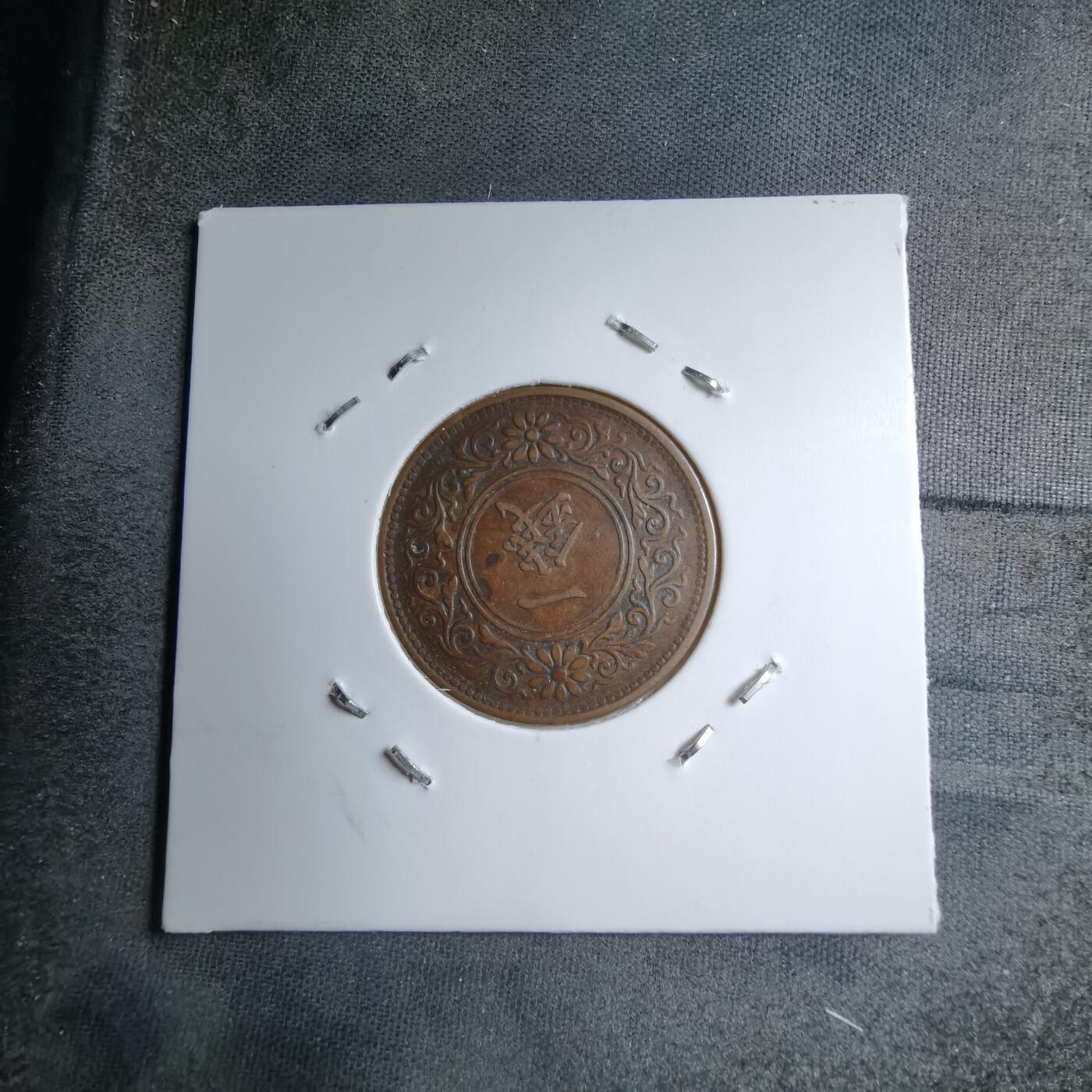 沼泽如烟--第891场